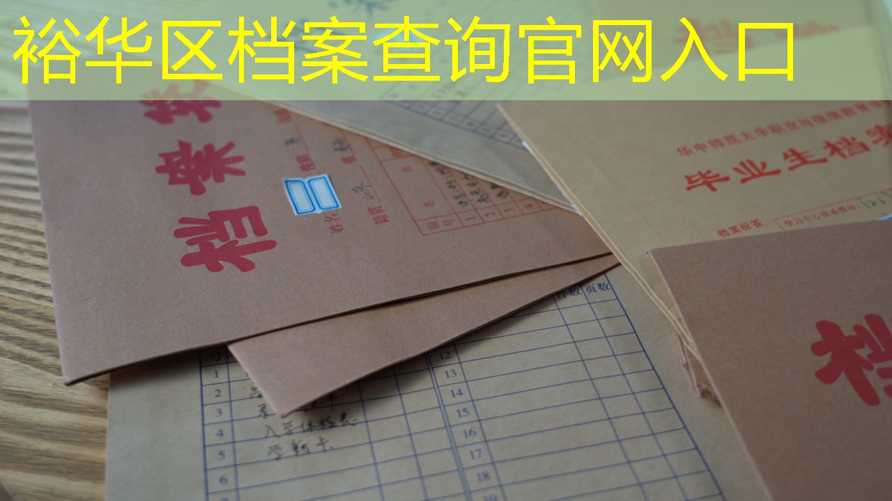 档案查询