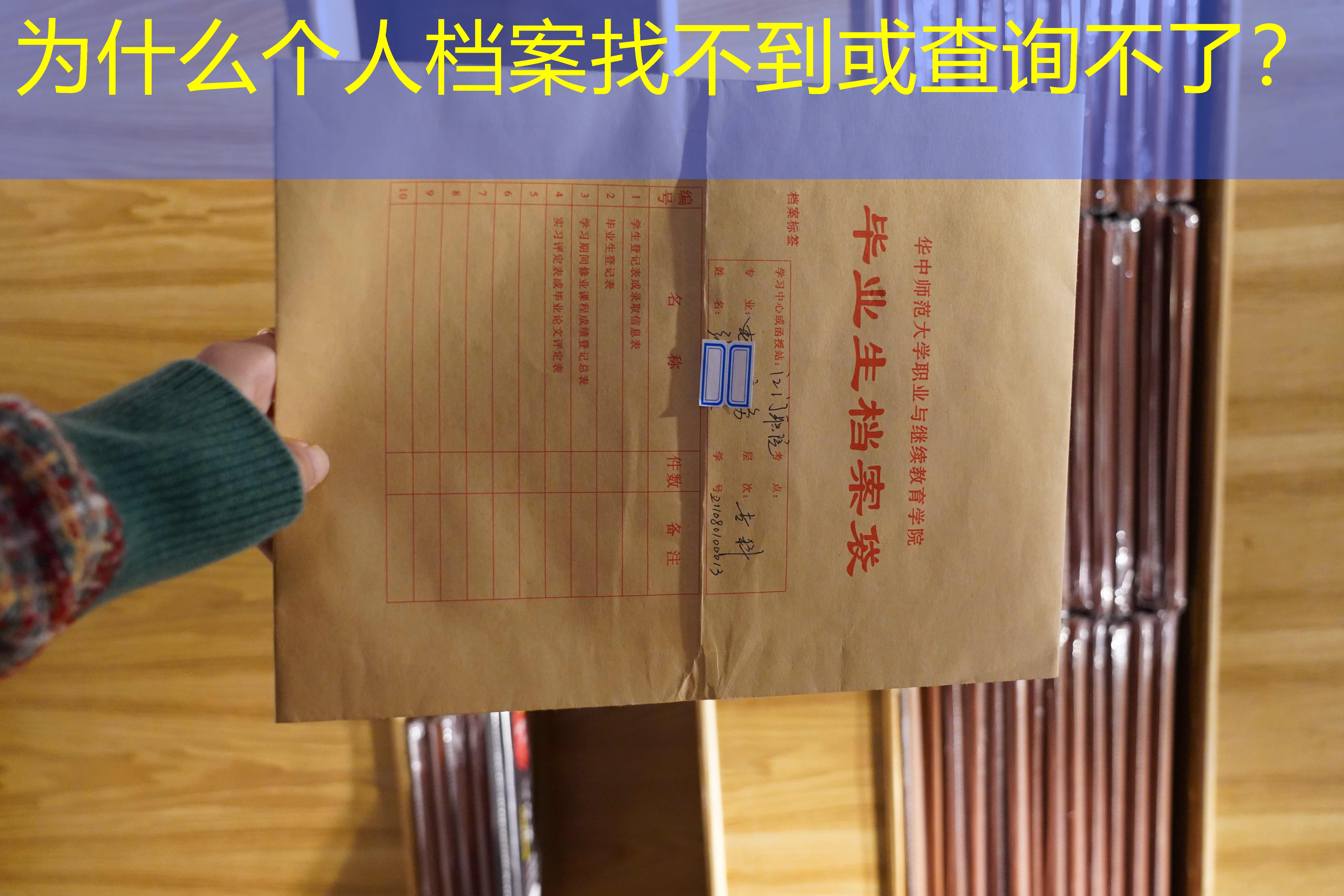 档案查询
