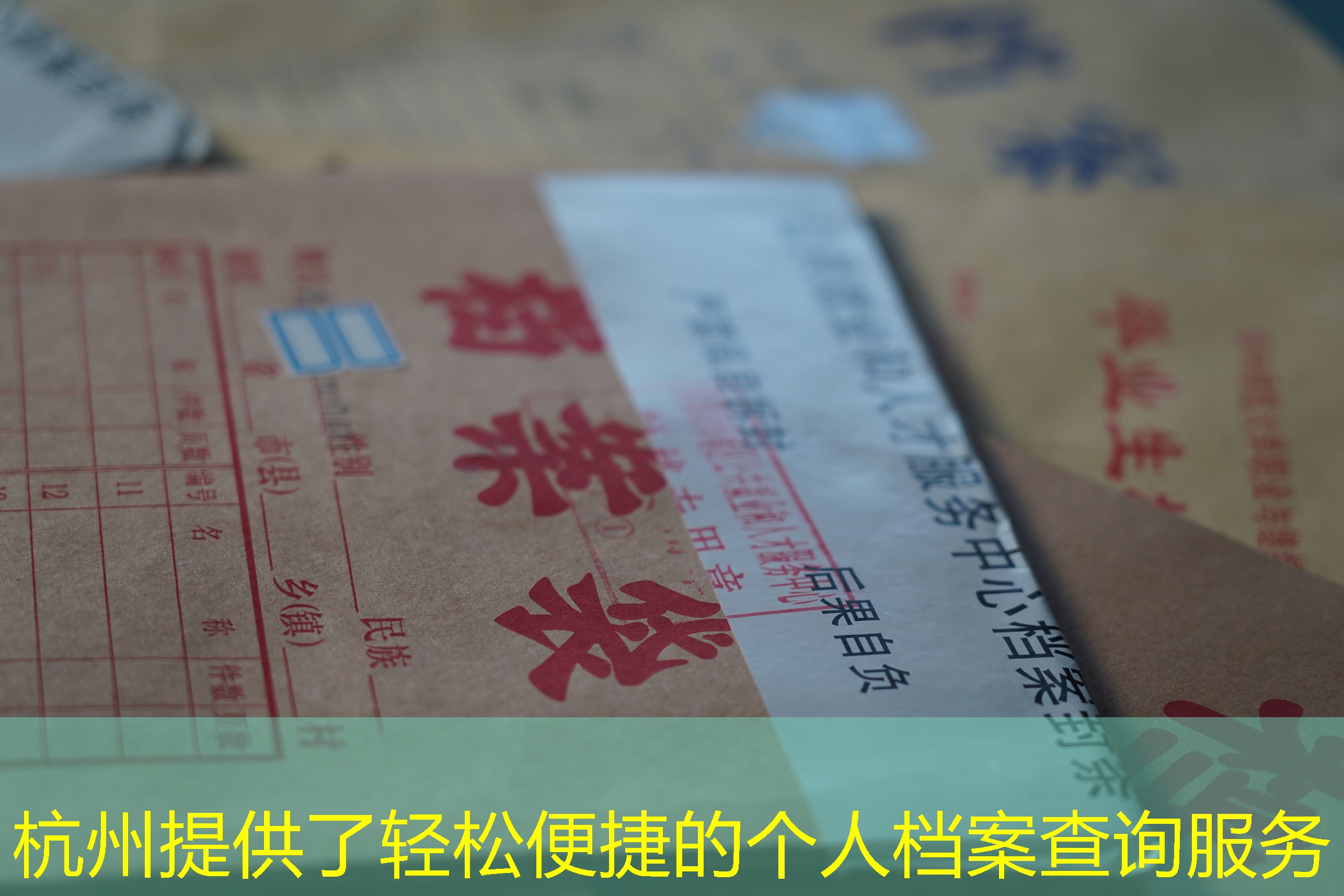 档案查询