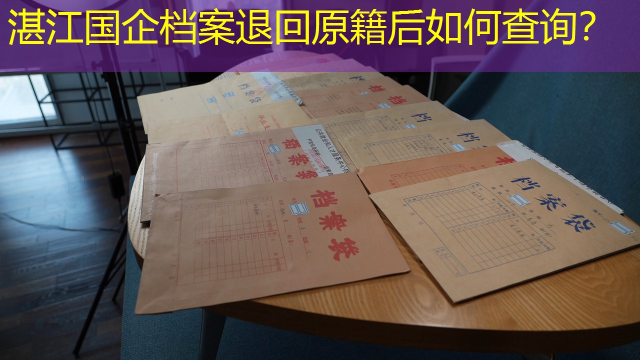 档案查询