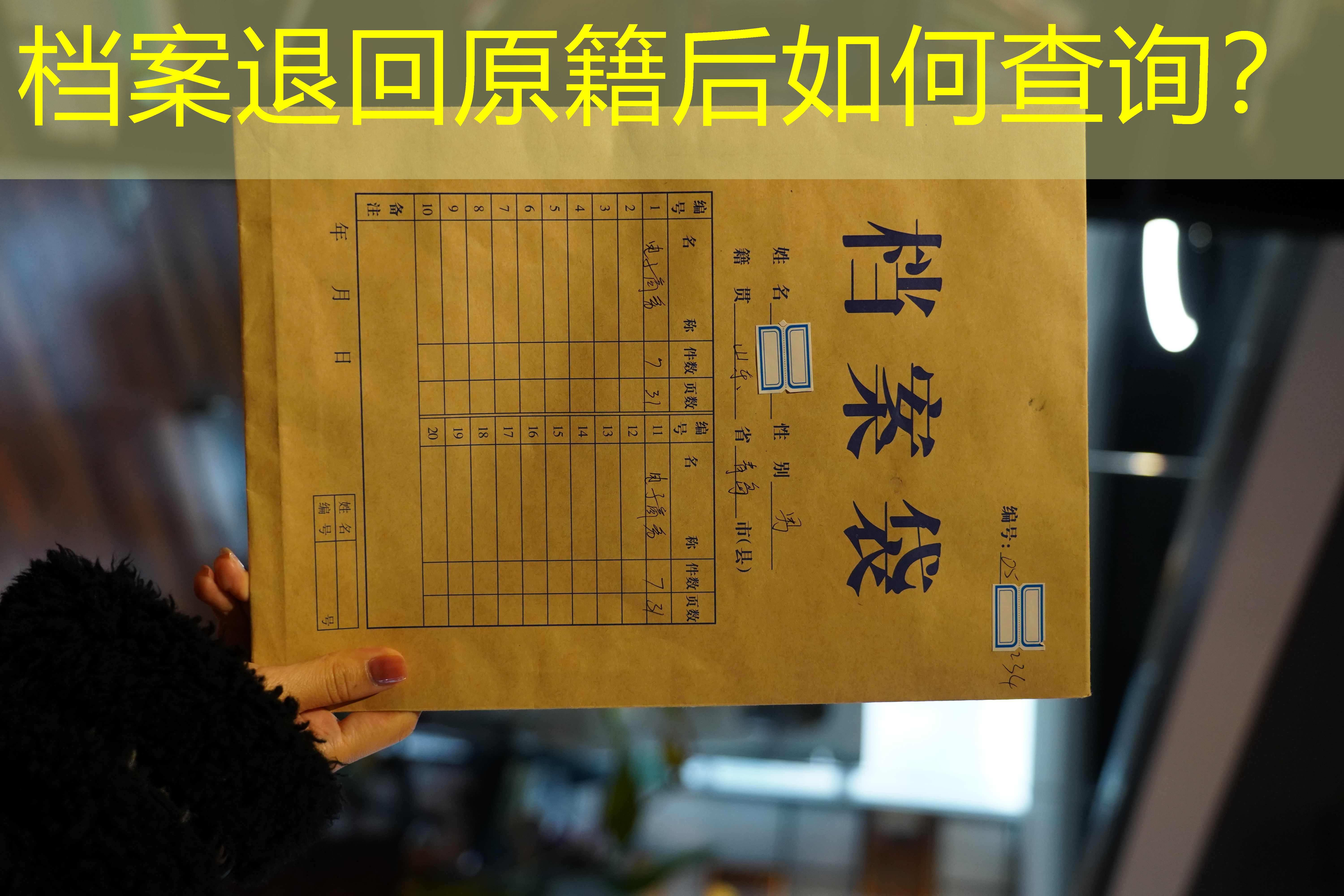 档案查询