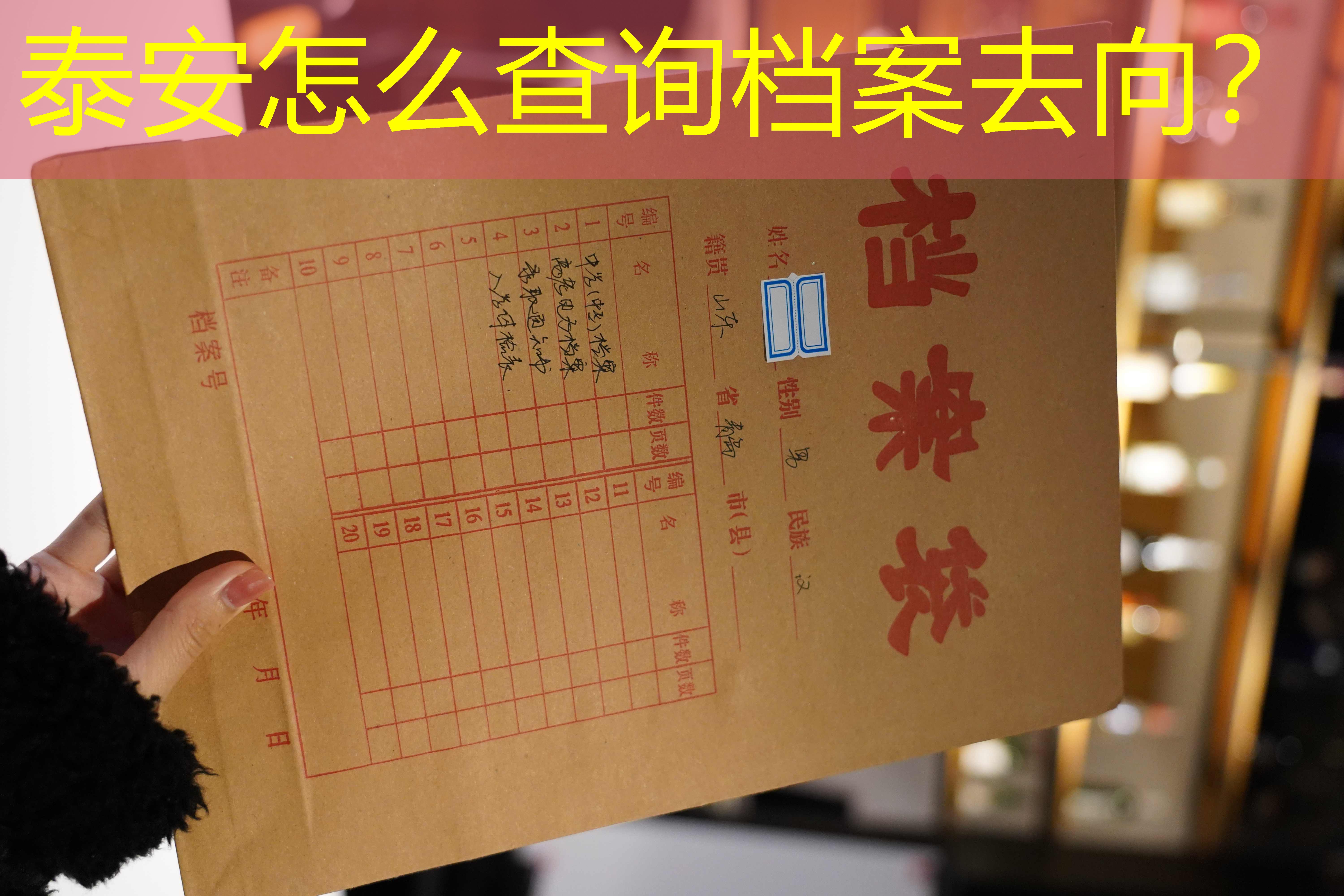 档案查询