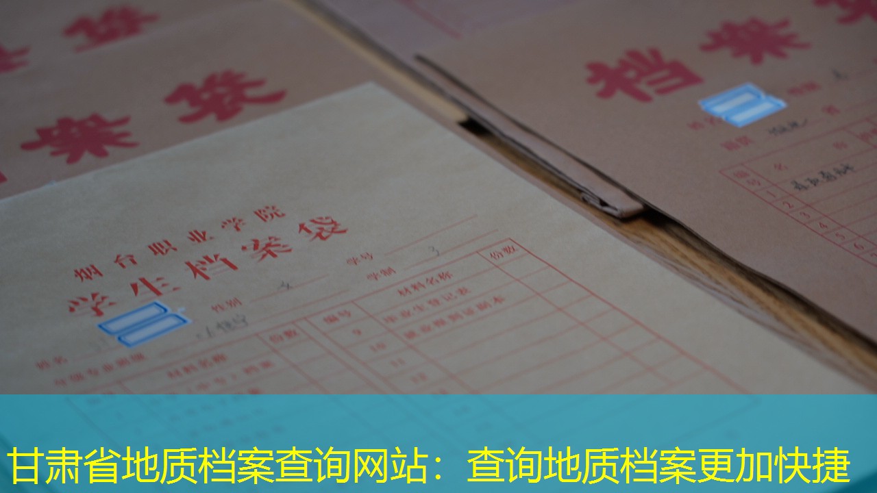 档案查询