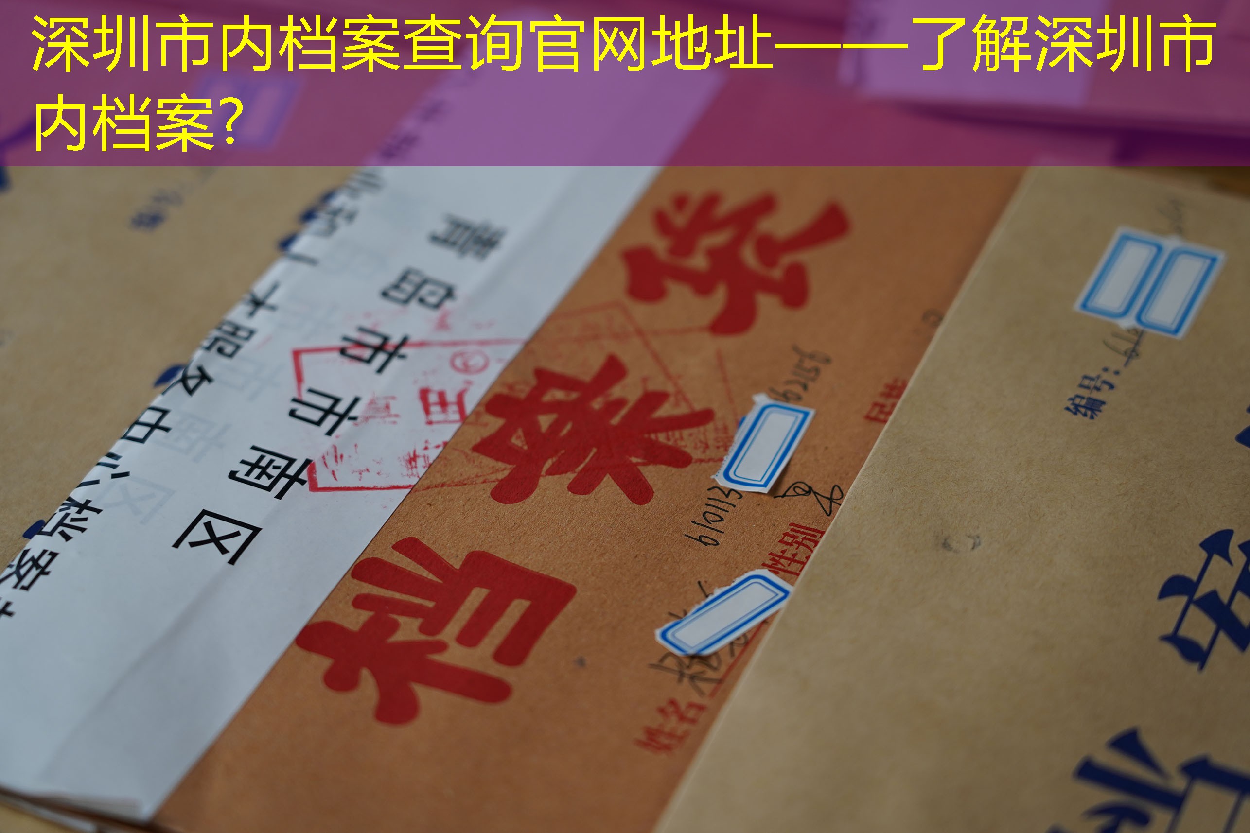 档案查询