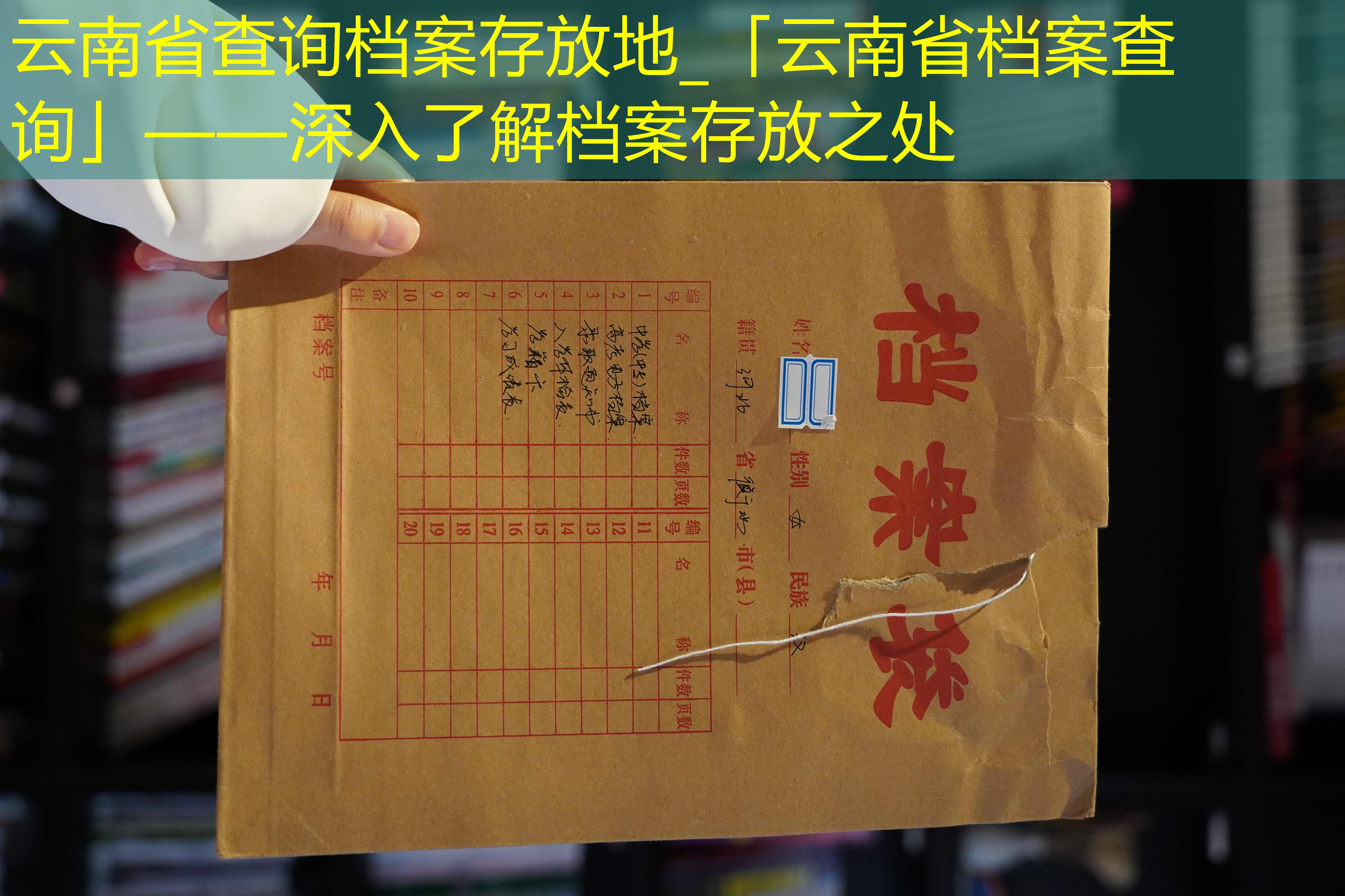 档案查询