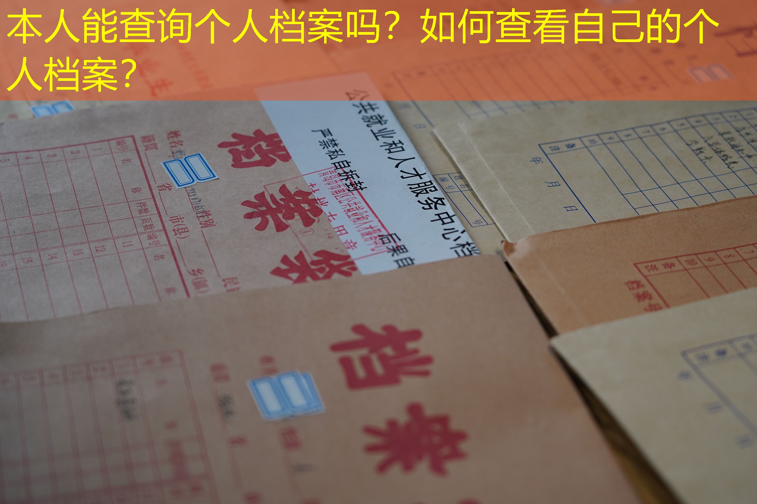 档案查询
