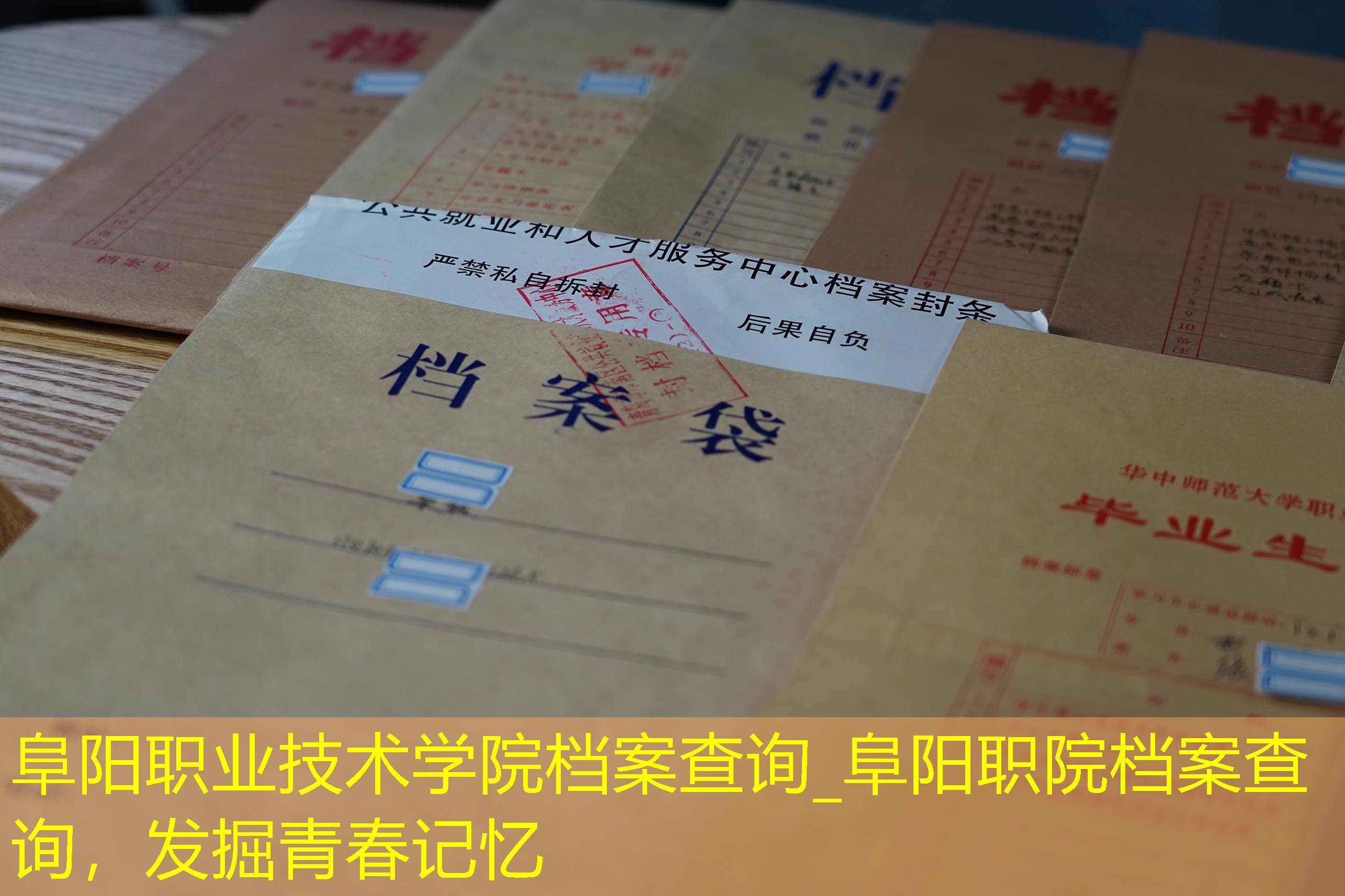 档案查询