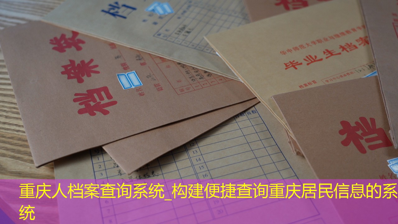 档案查询