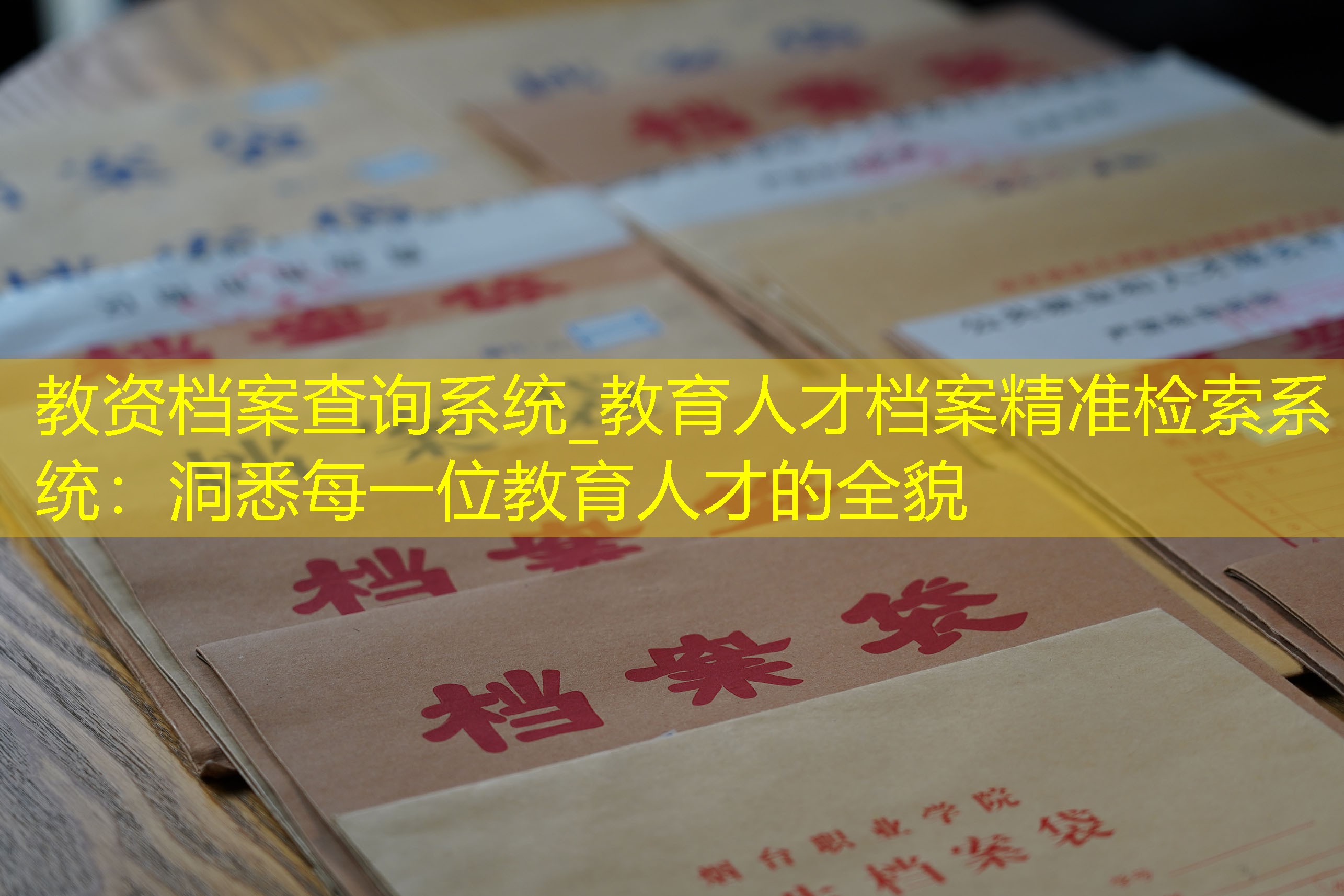 档案查询
