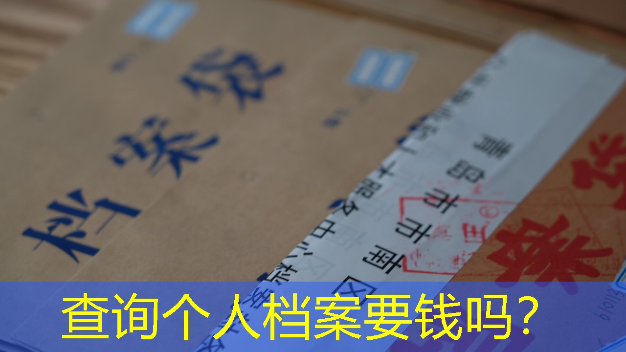 档案查询