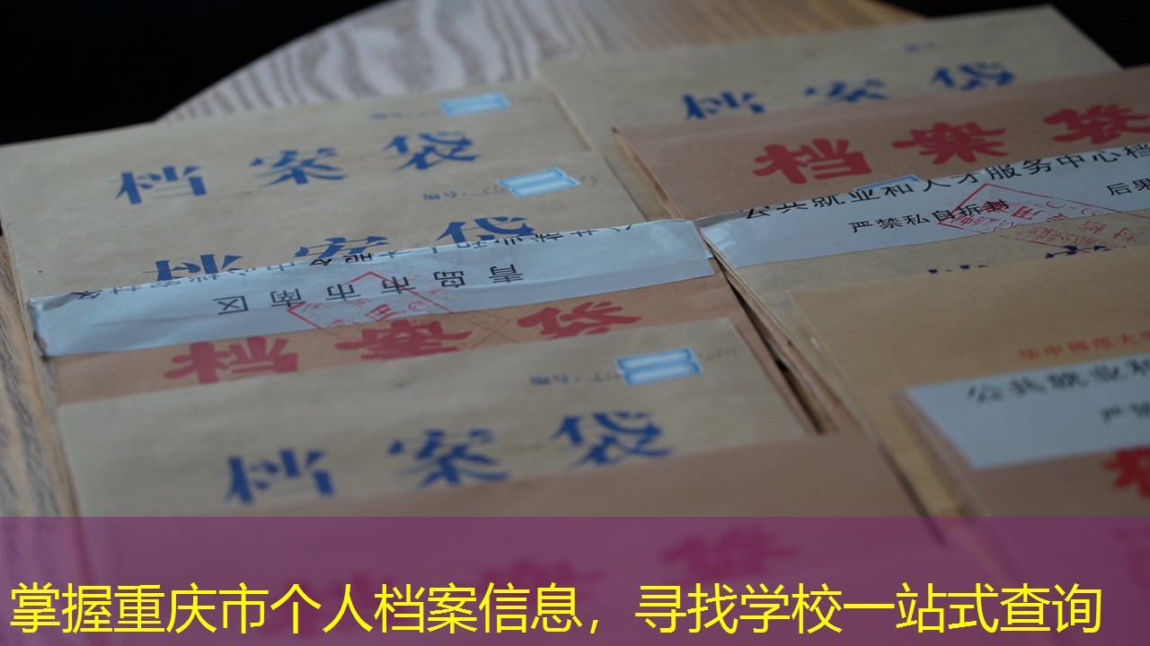 档案查询
