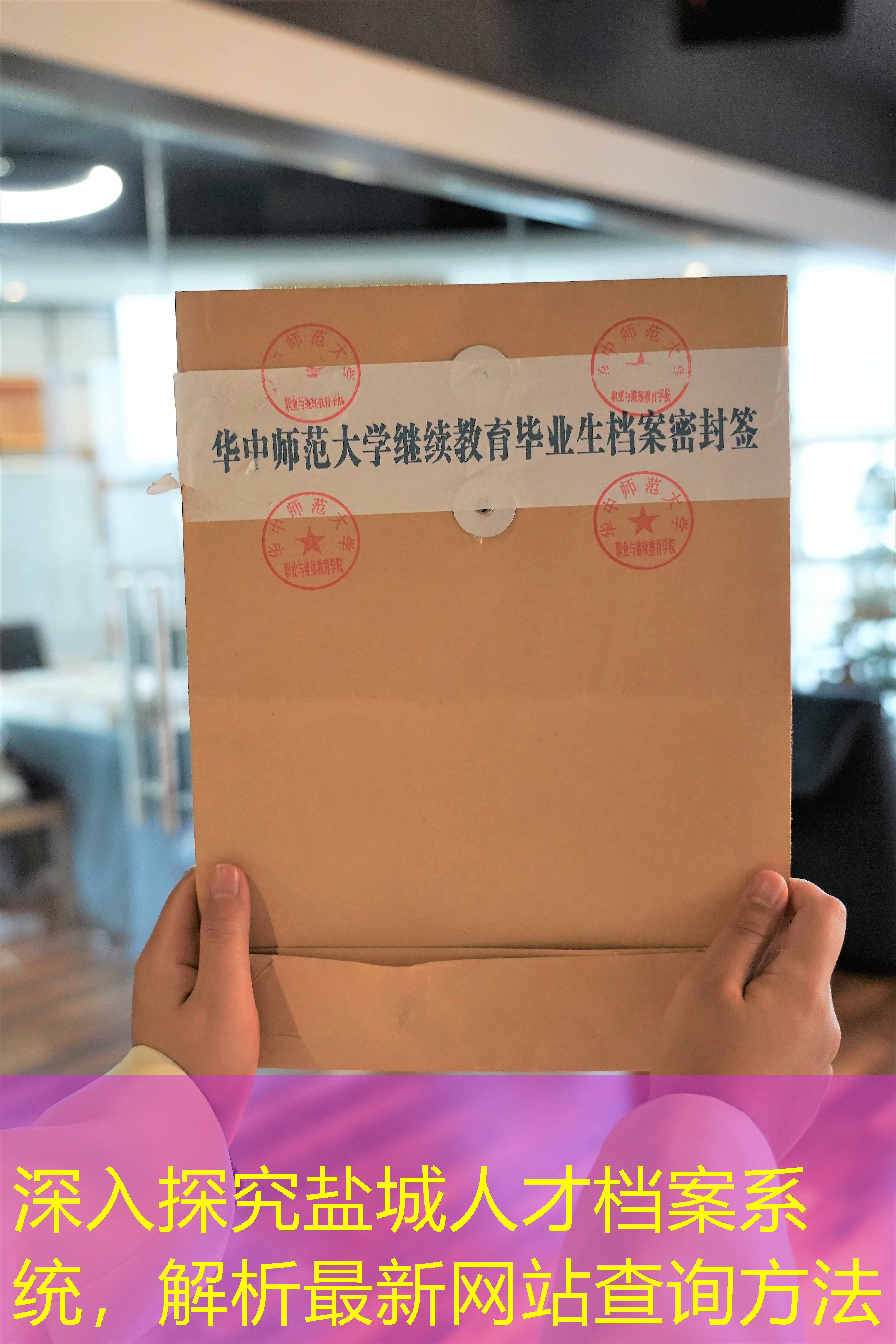 档案查询
