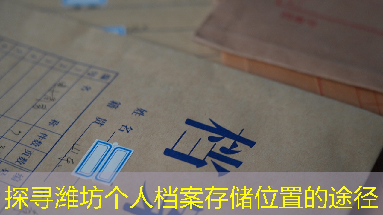 档案查询