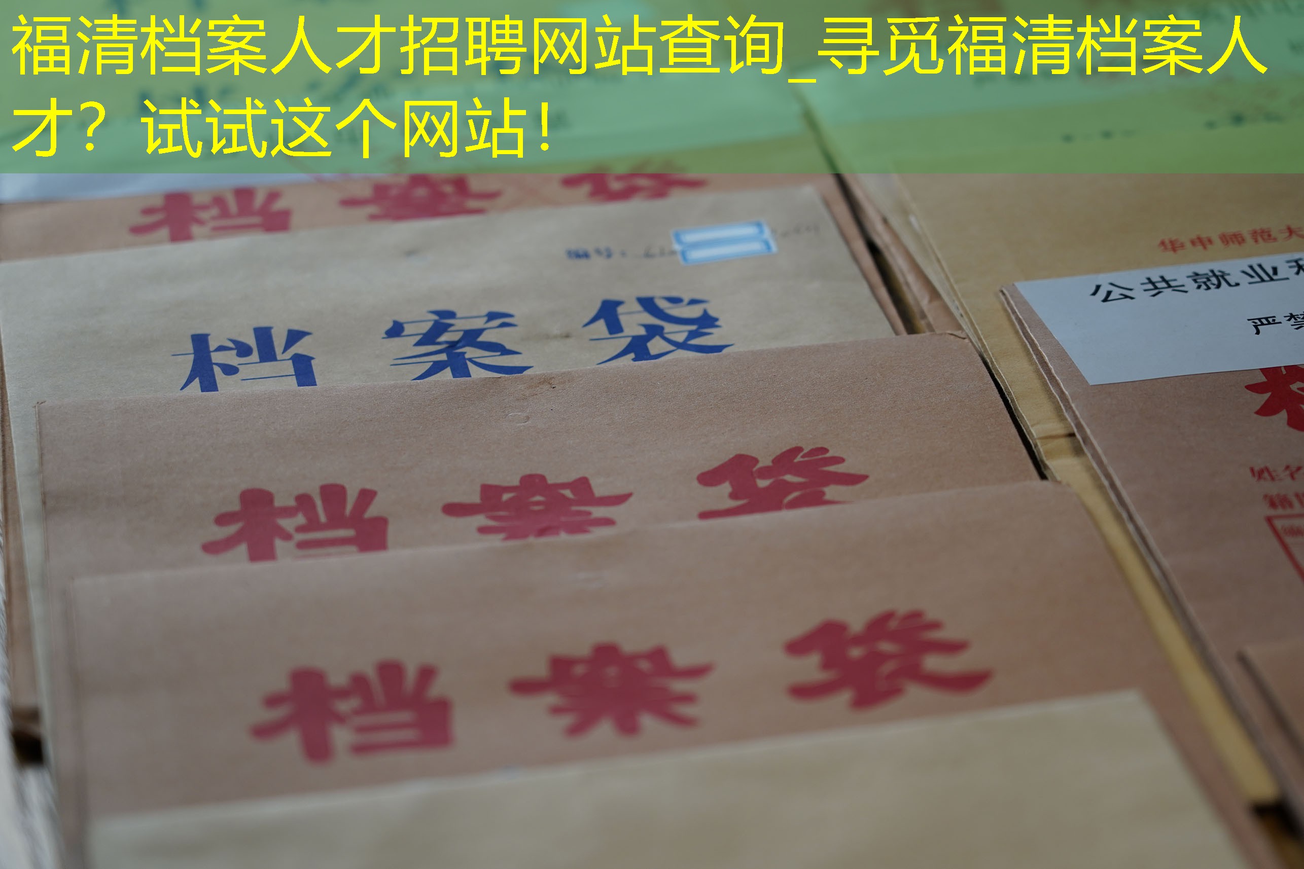 档案查询