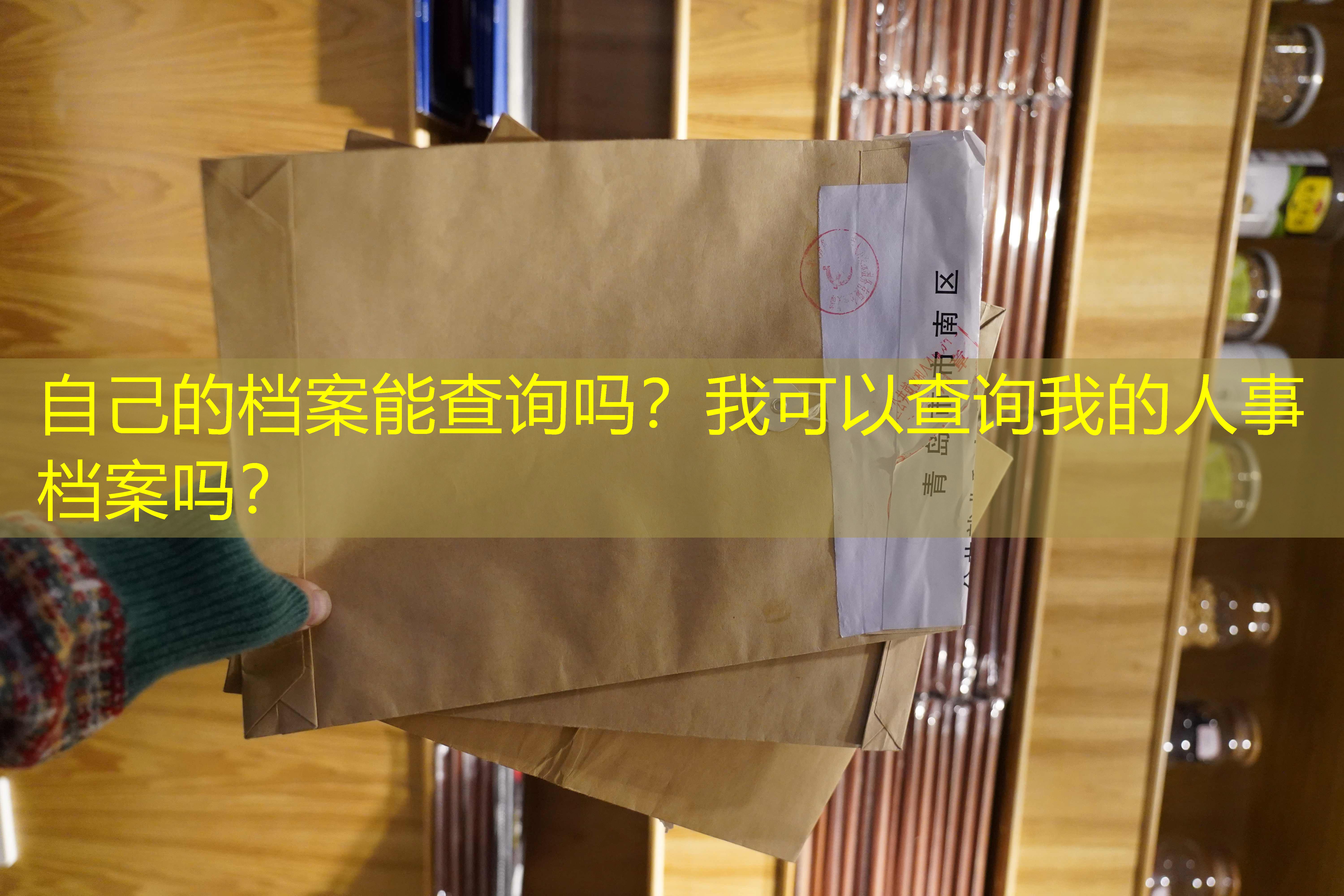 档案查询