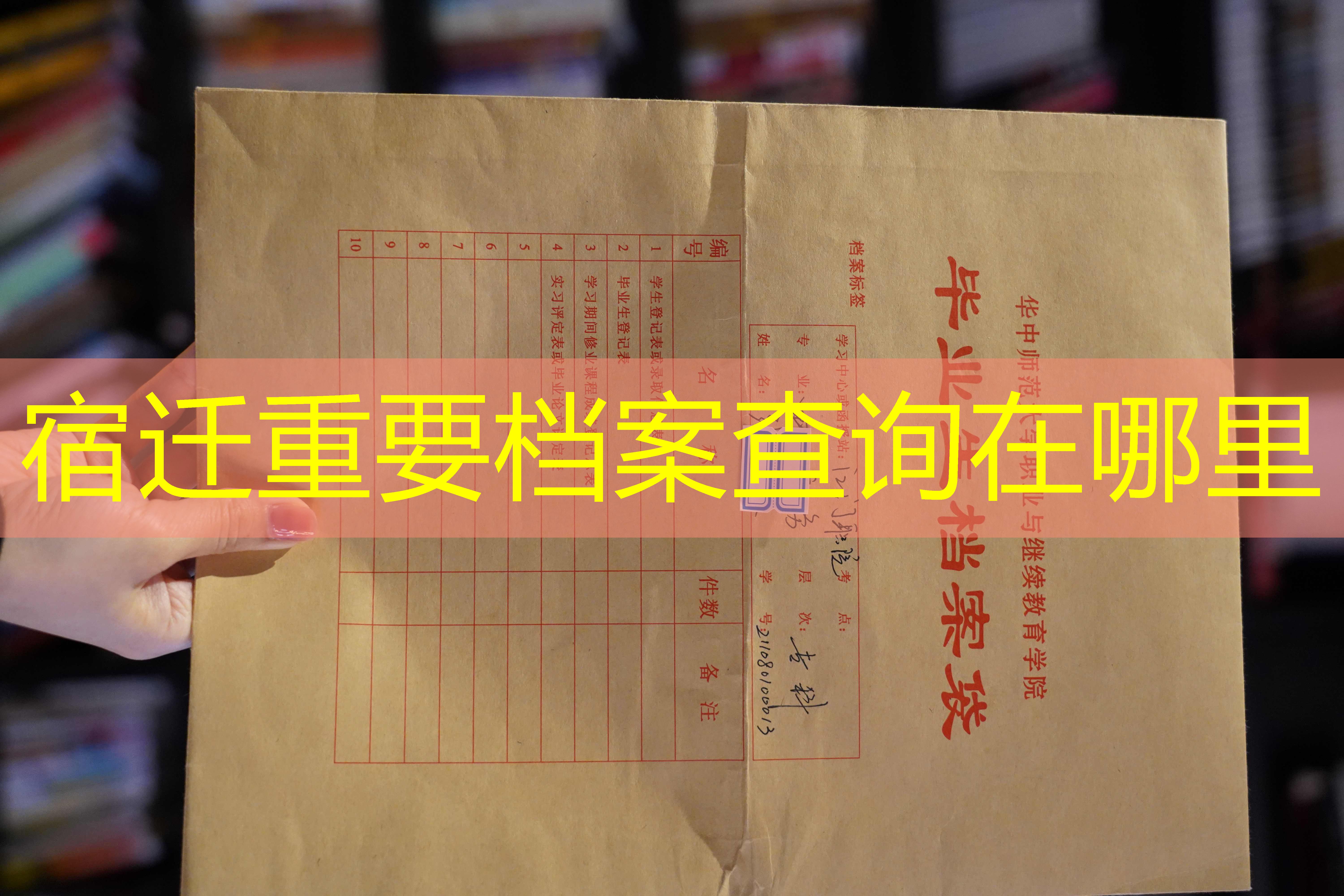 档案查询
