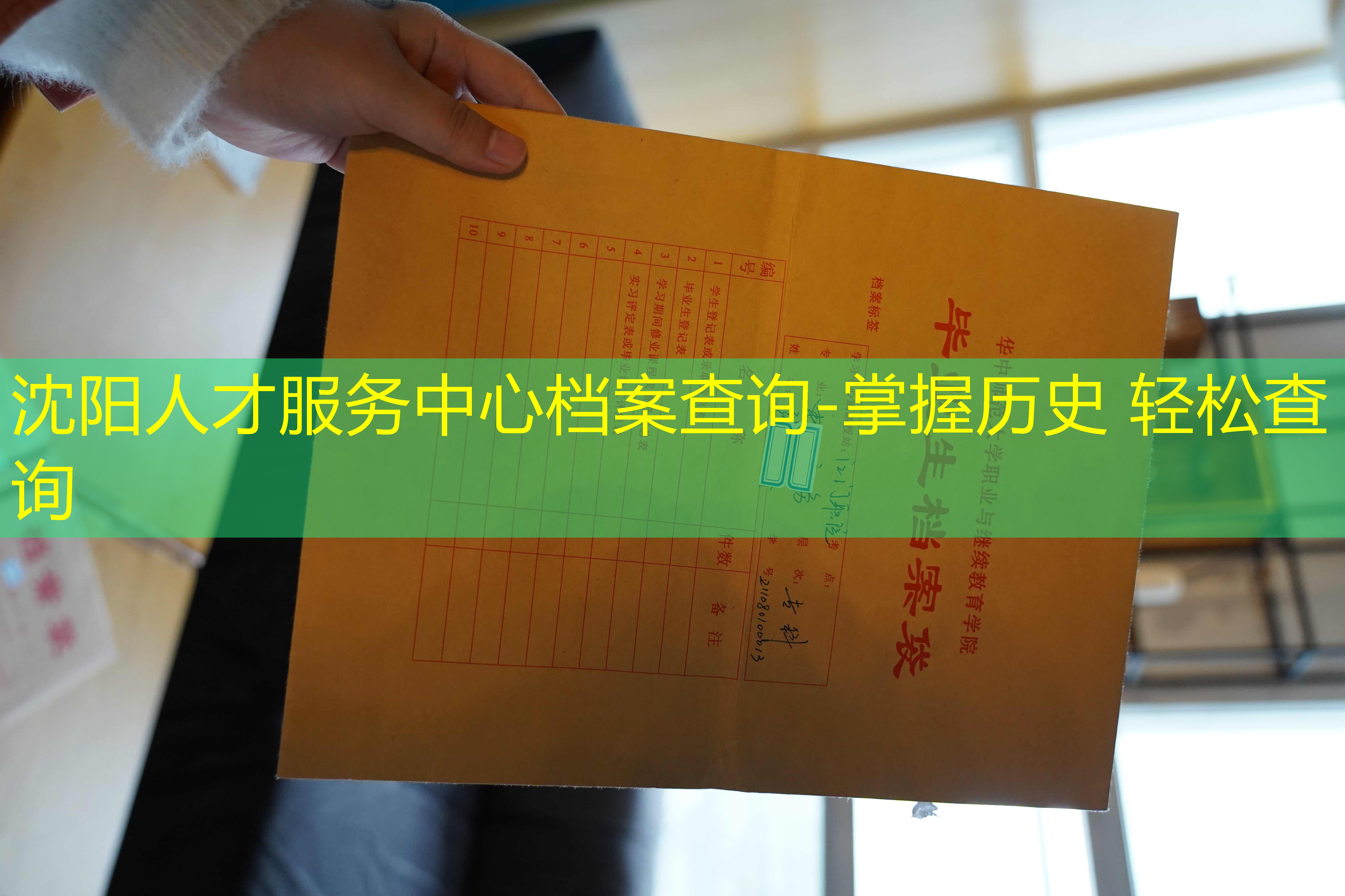档案查询