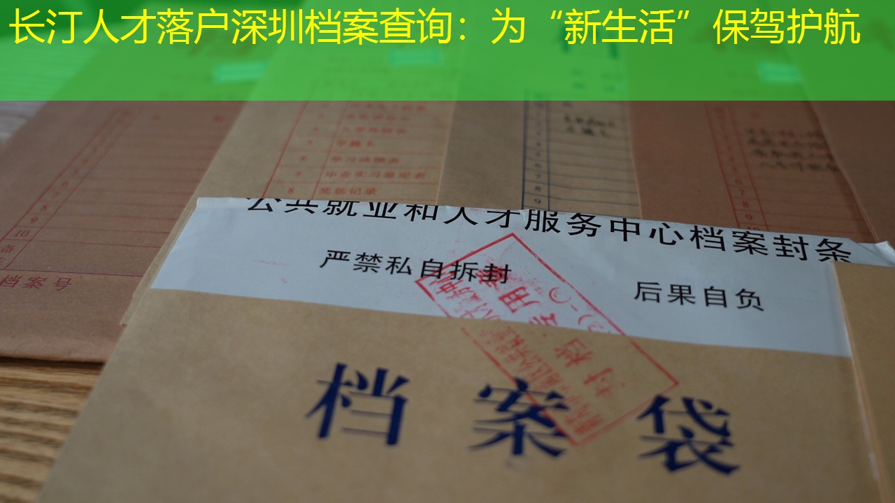 档案查询