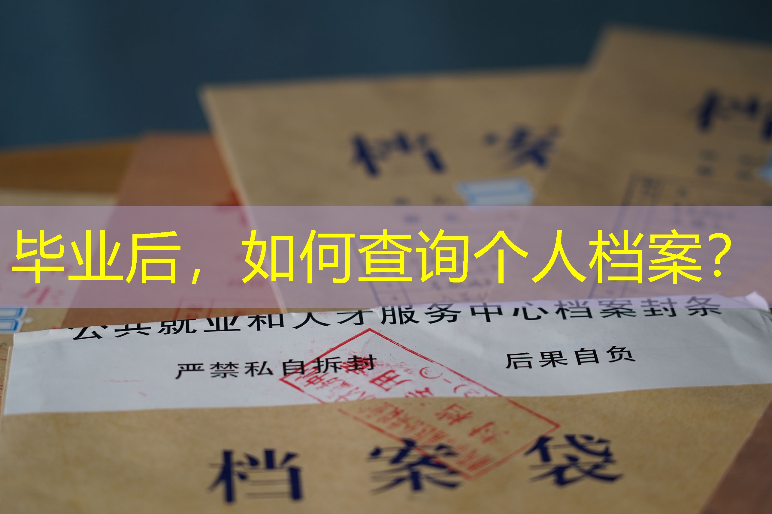 档案查询
