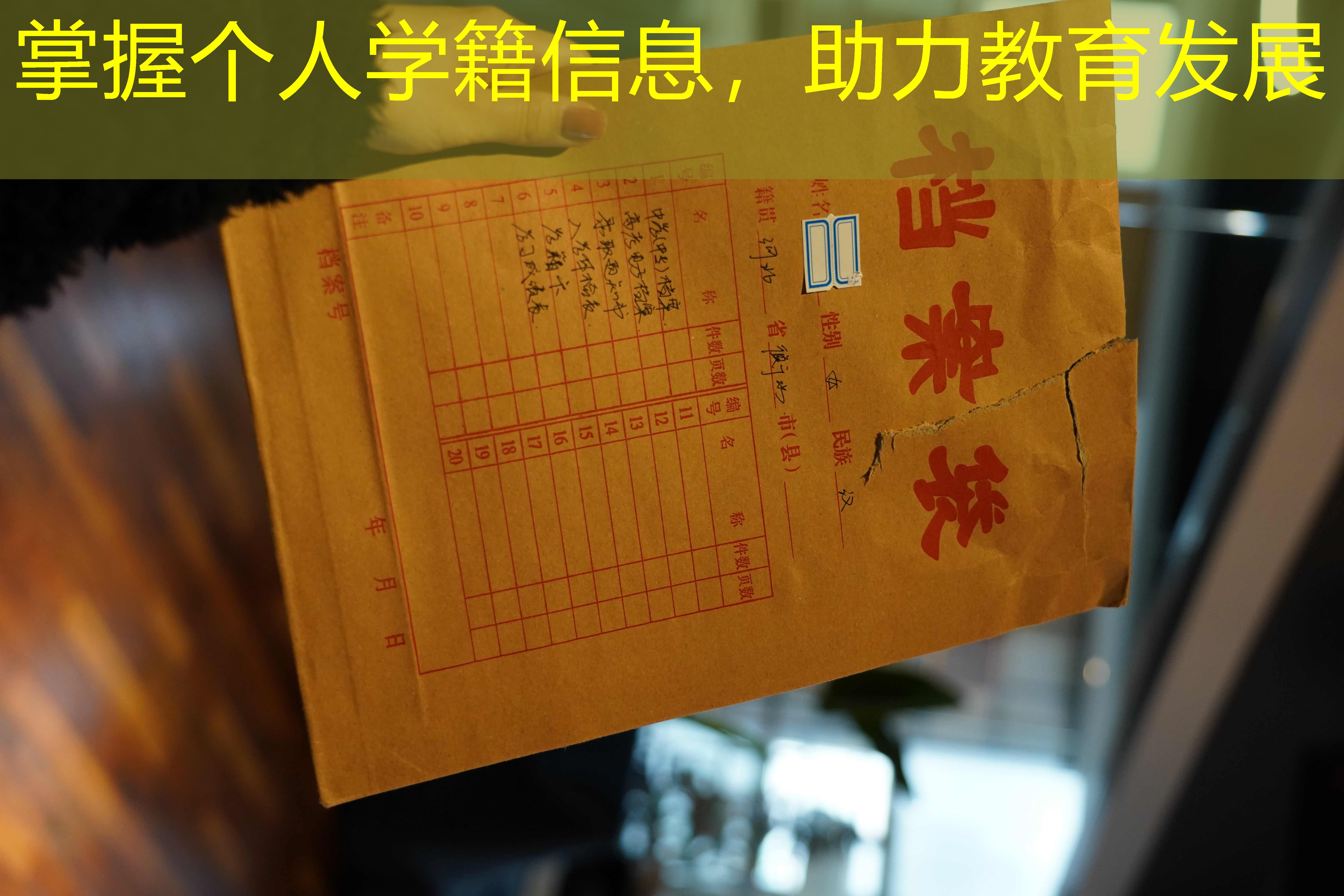 档案查询