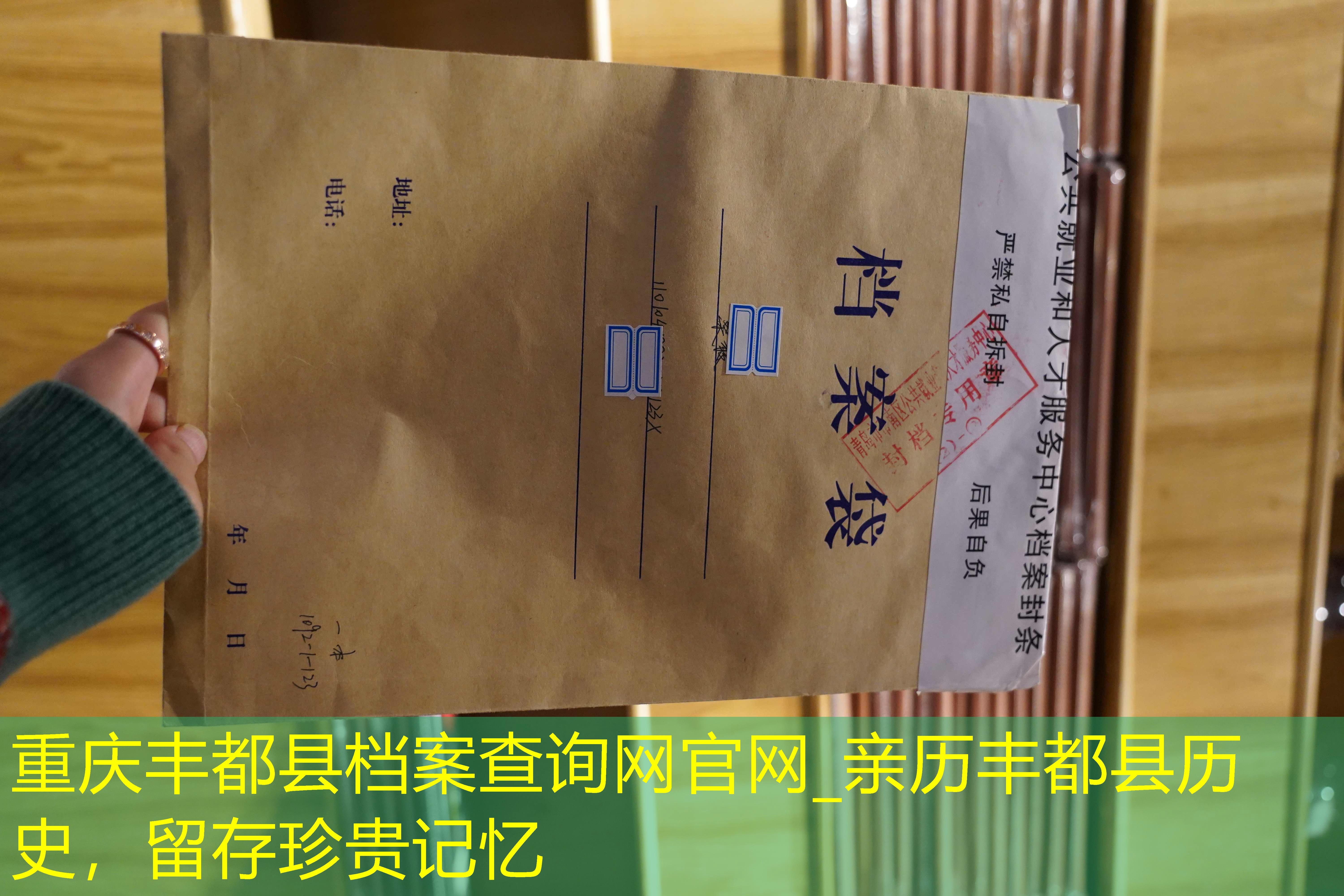 档案查询