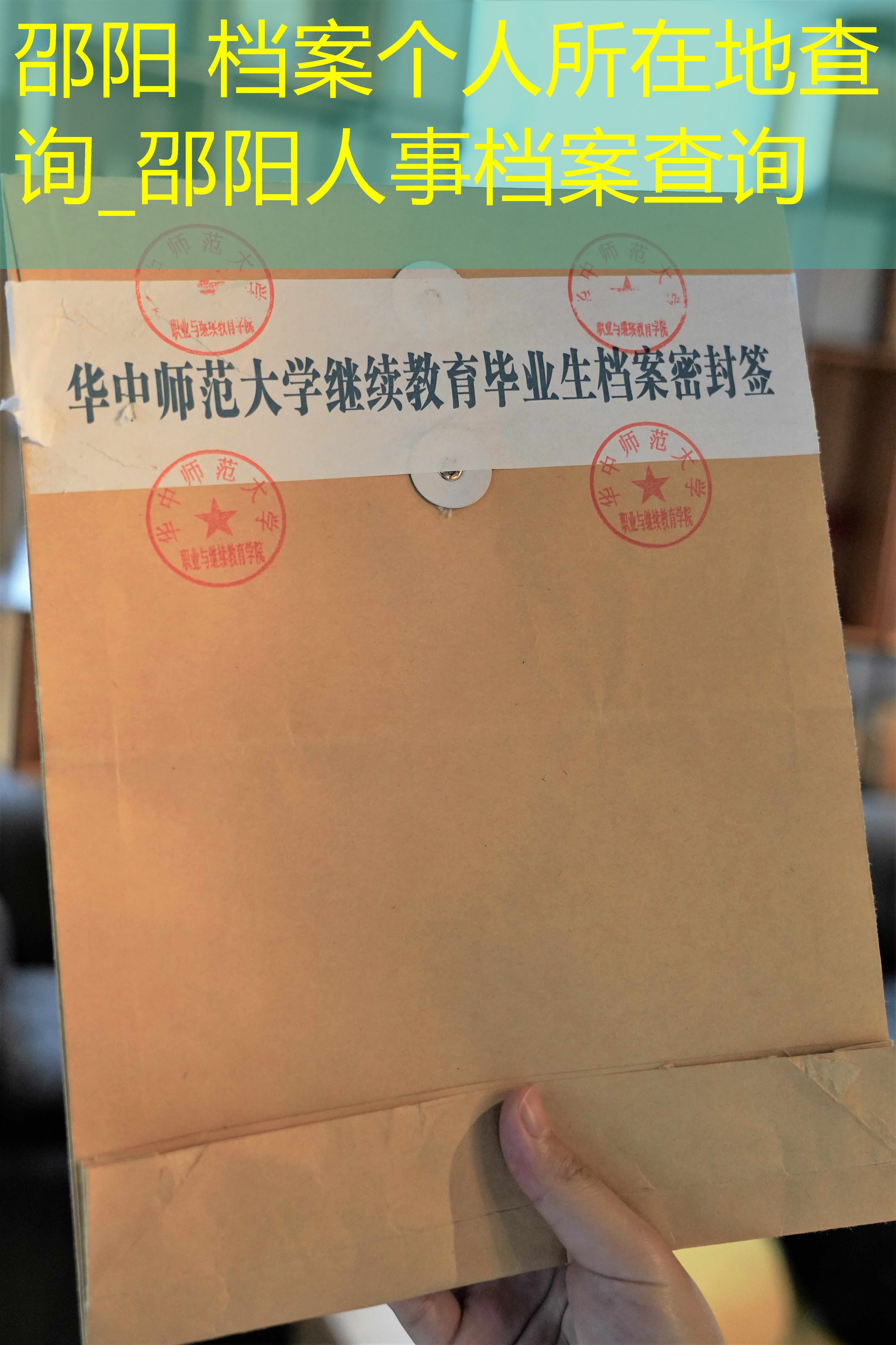 档案查询