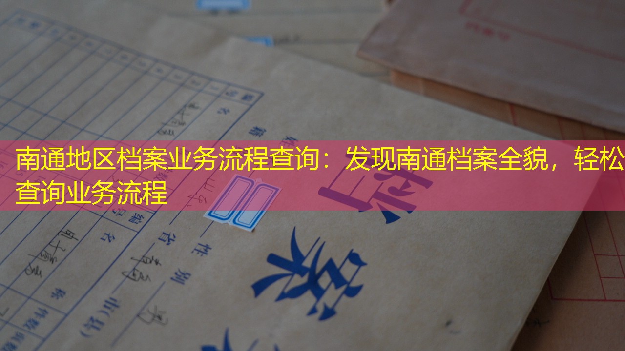 档案查询