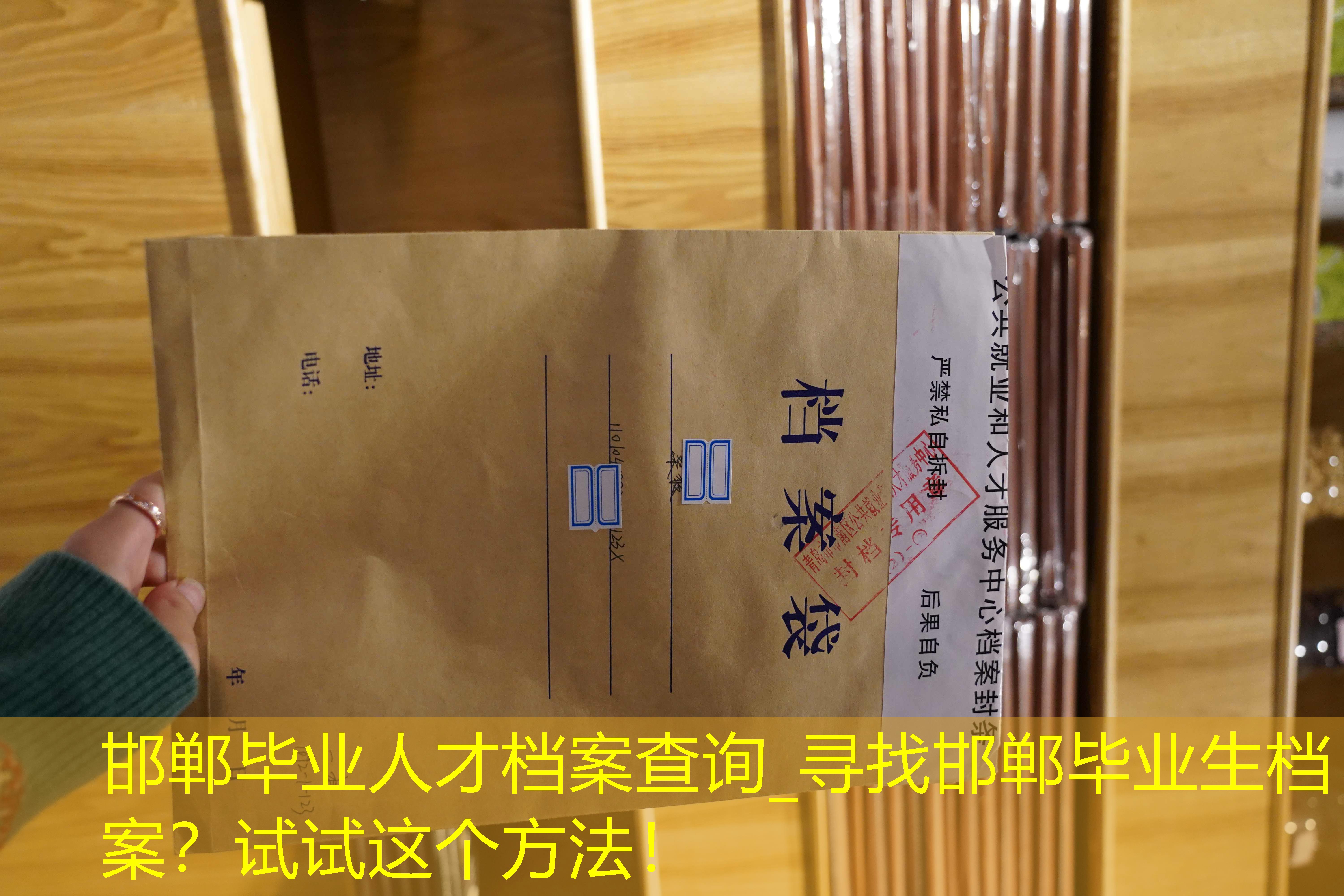 档案查询