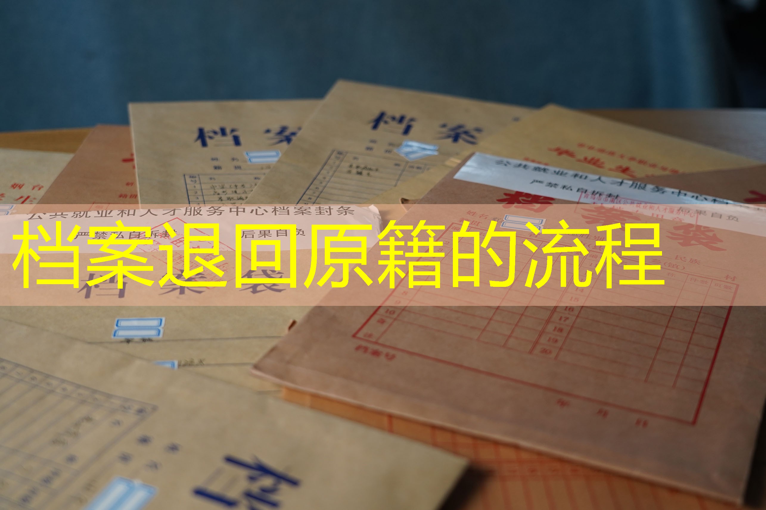 档案查询
