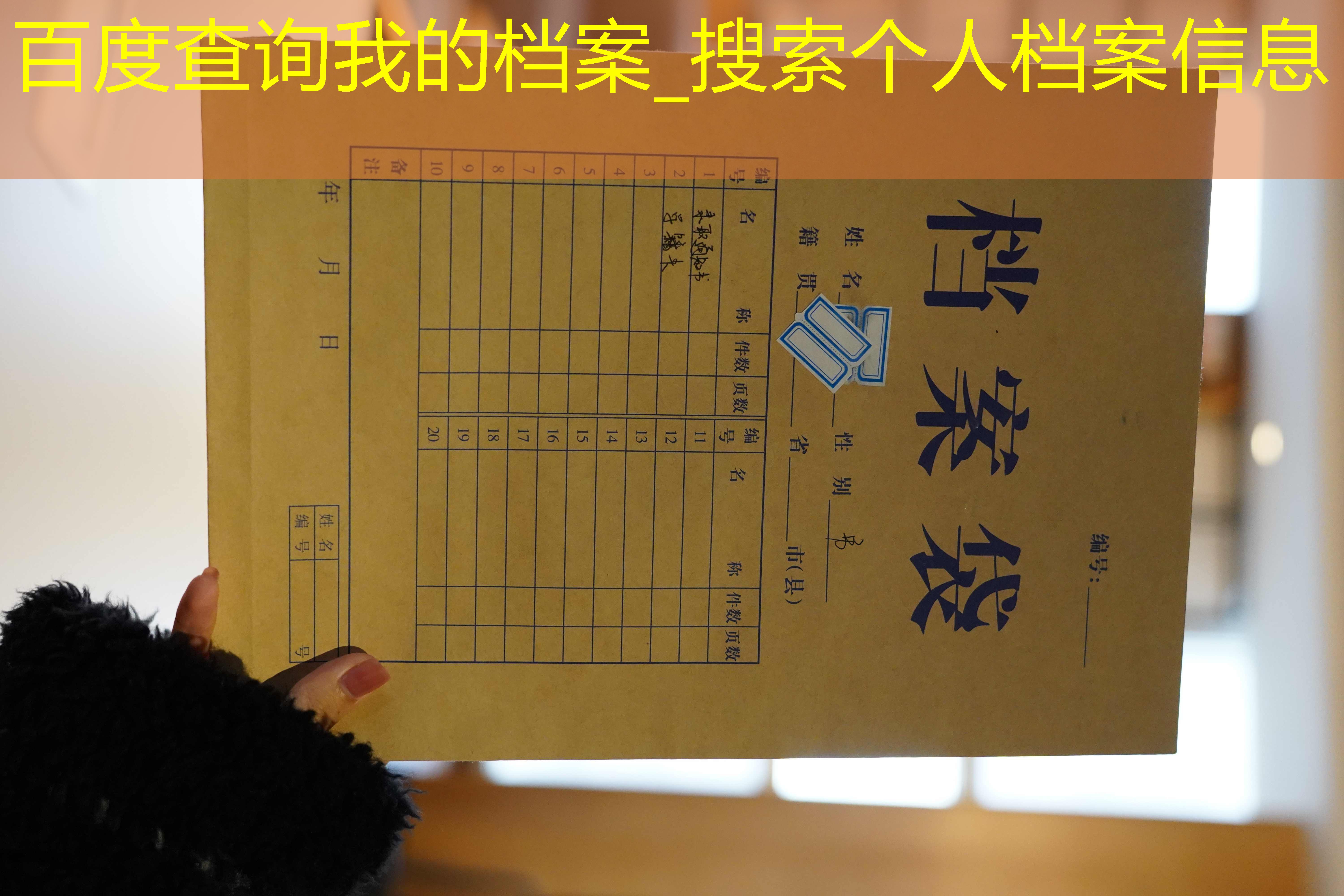 档案查询