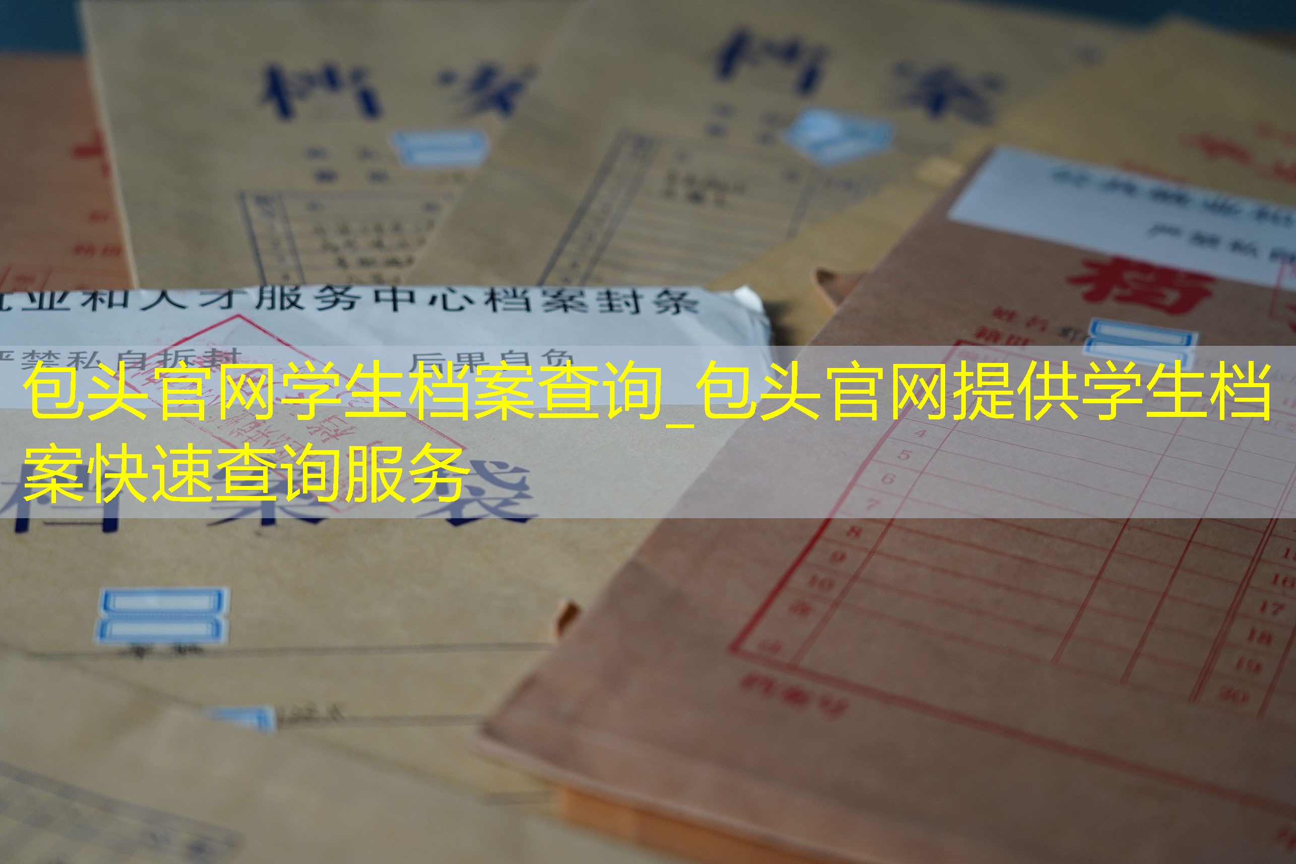 档案查询