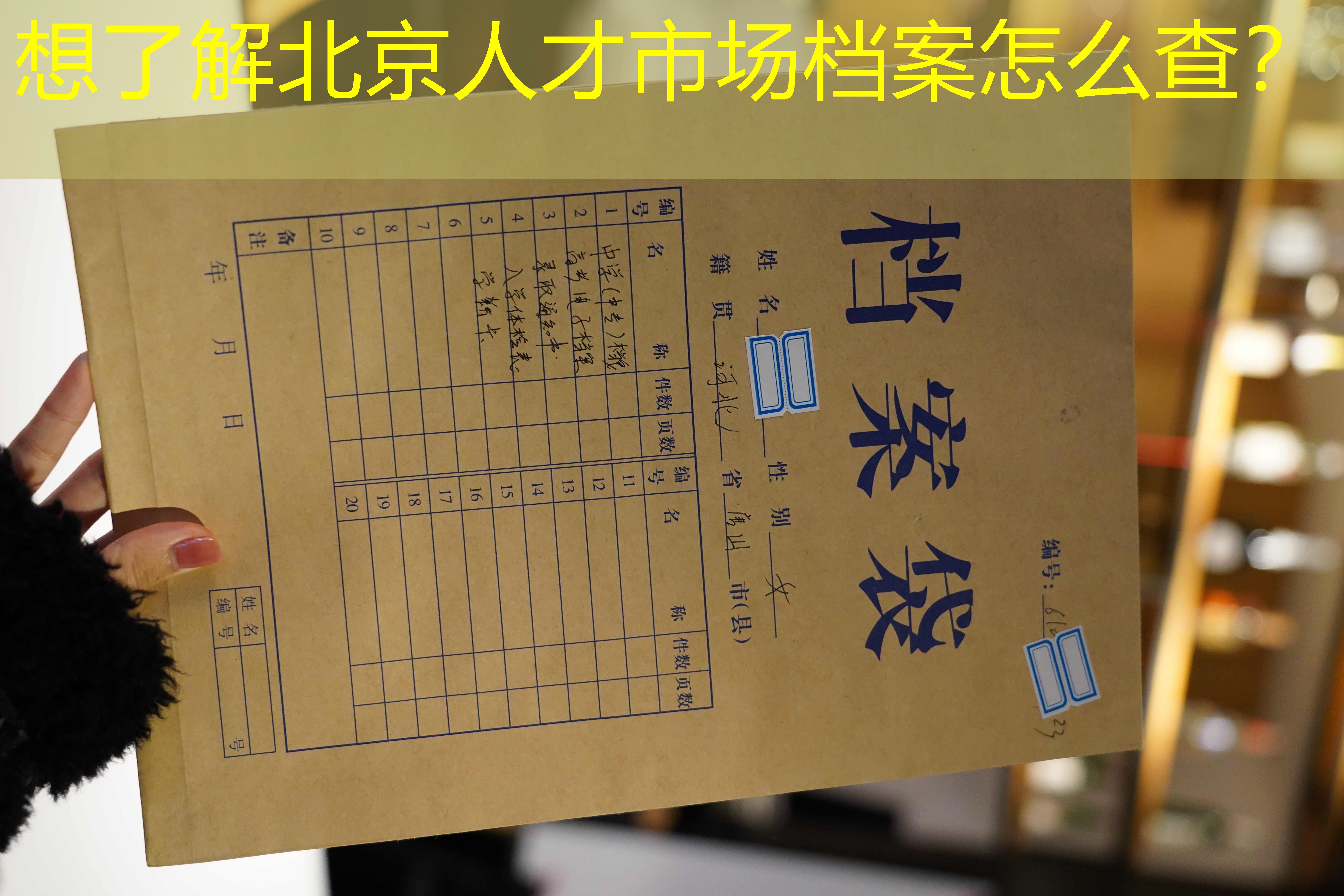 档案查询