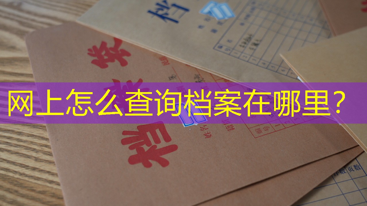 档案查询