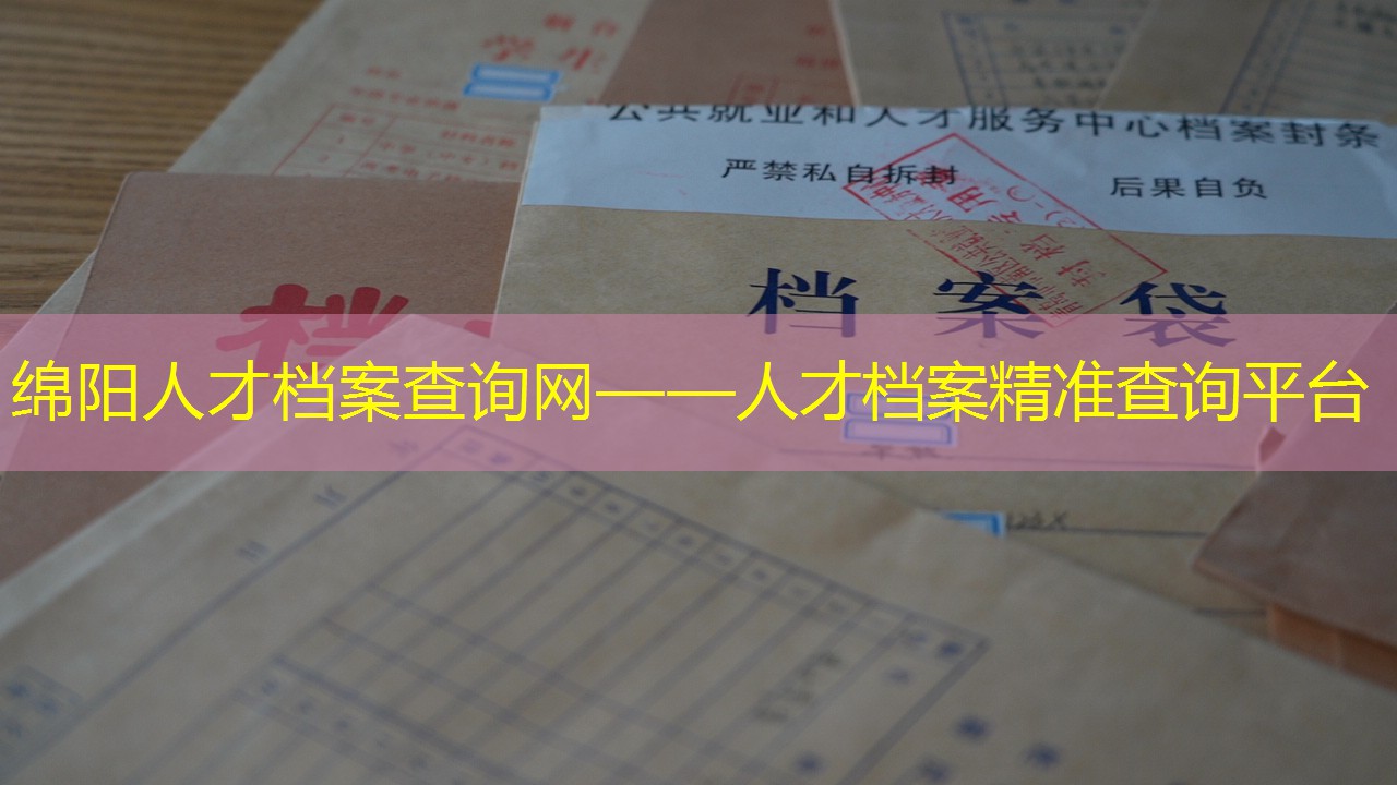 档案查询