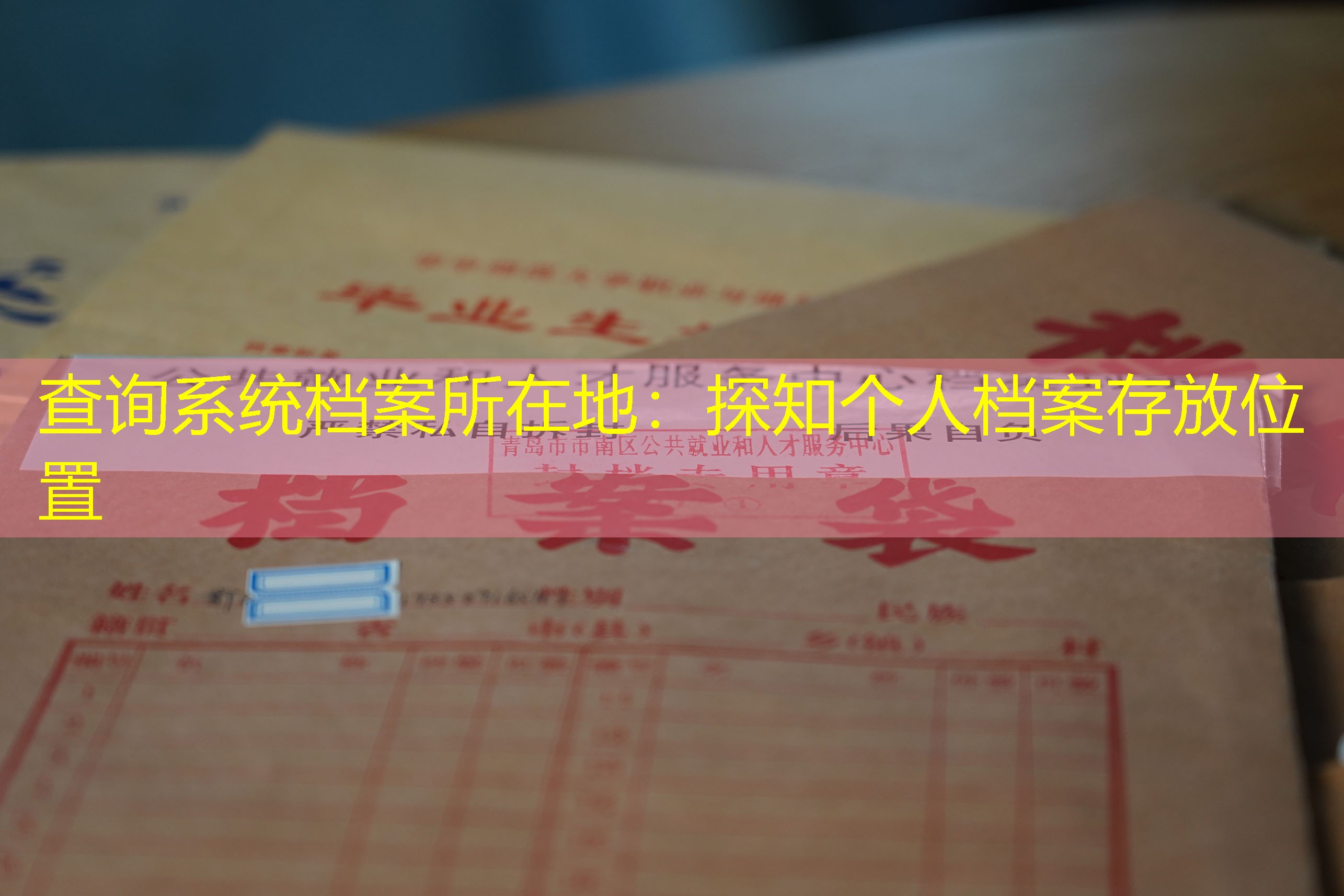 档案查询
