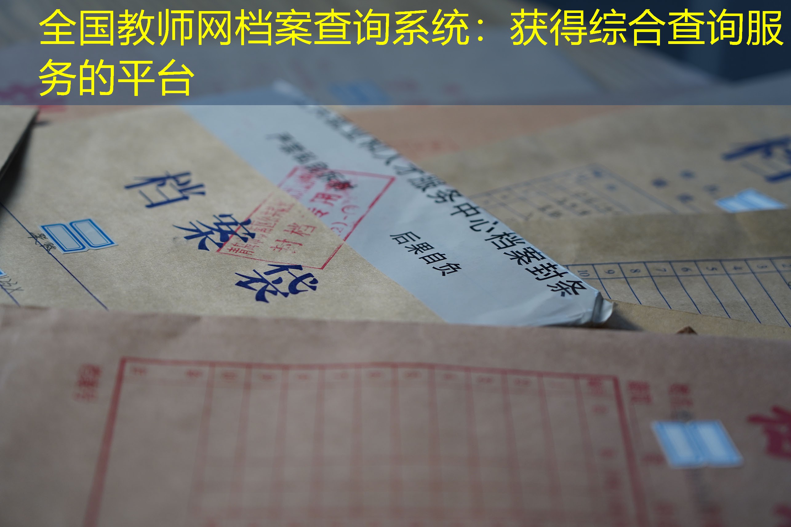 档案查询