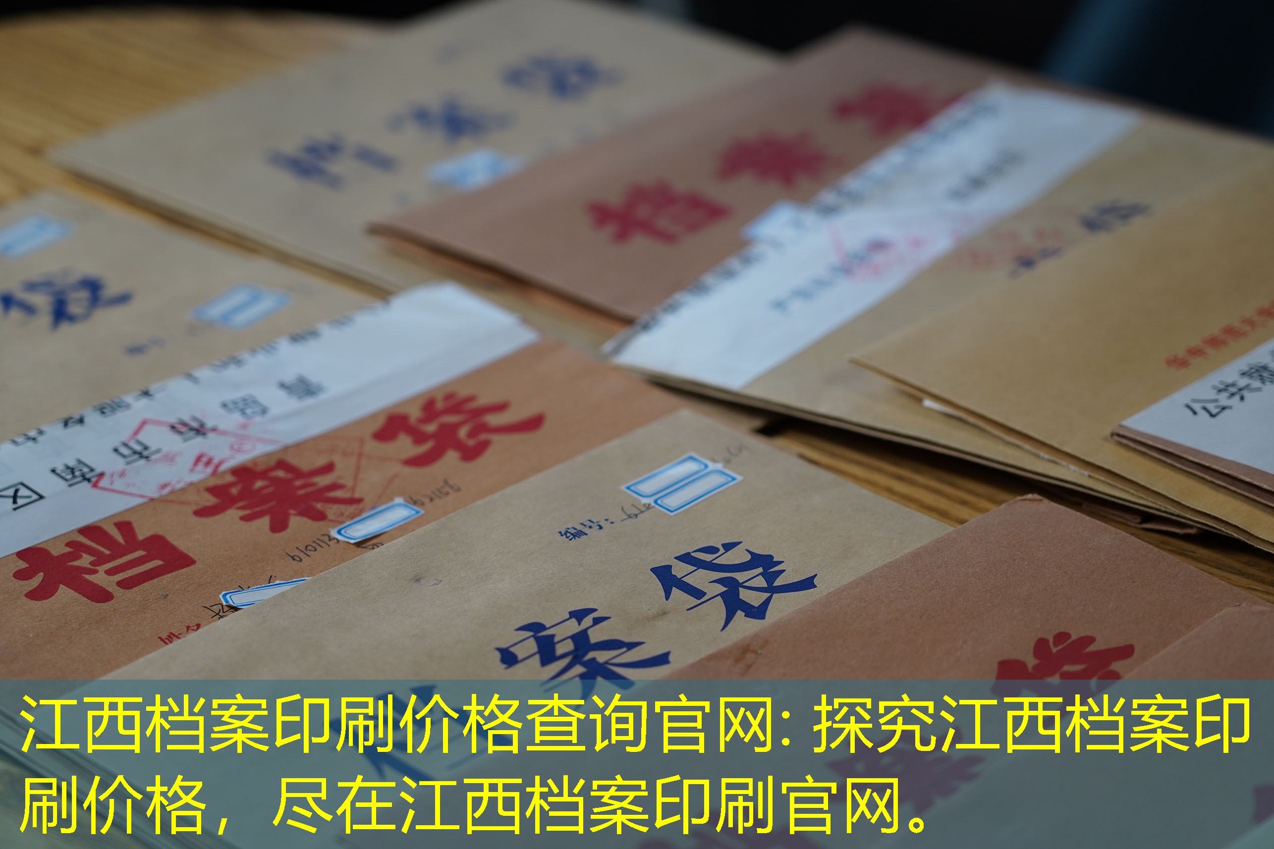 档案查询