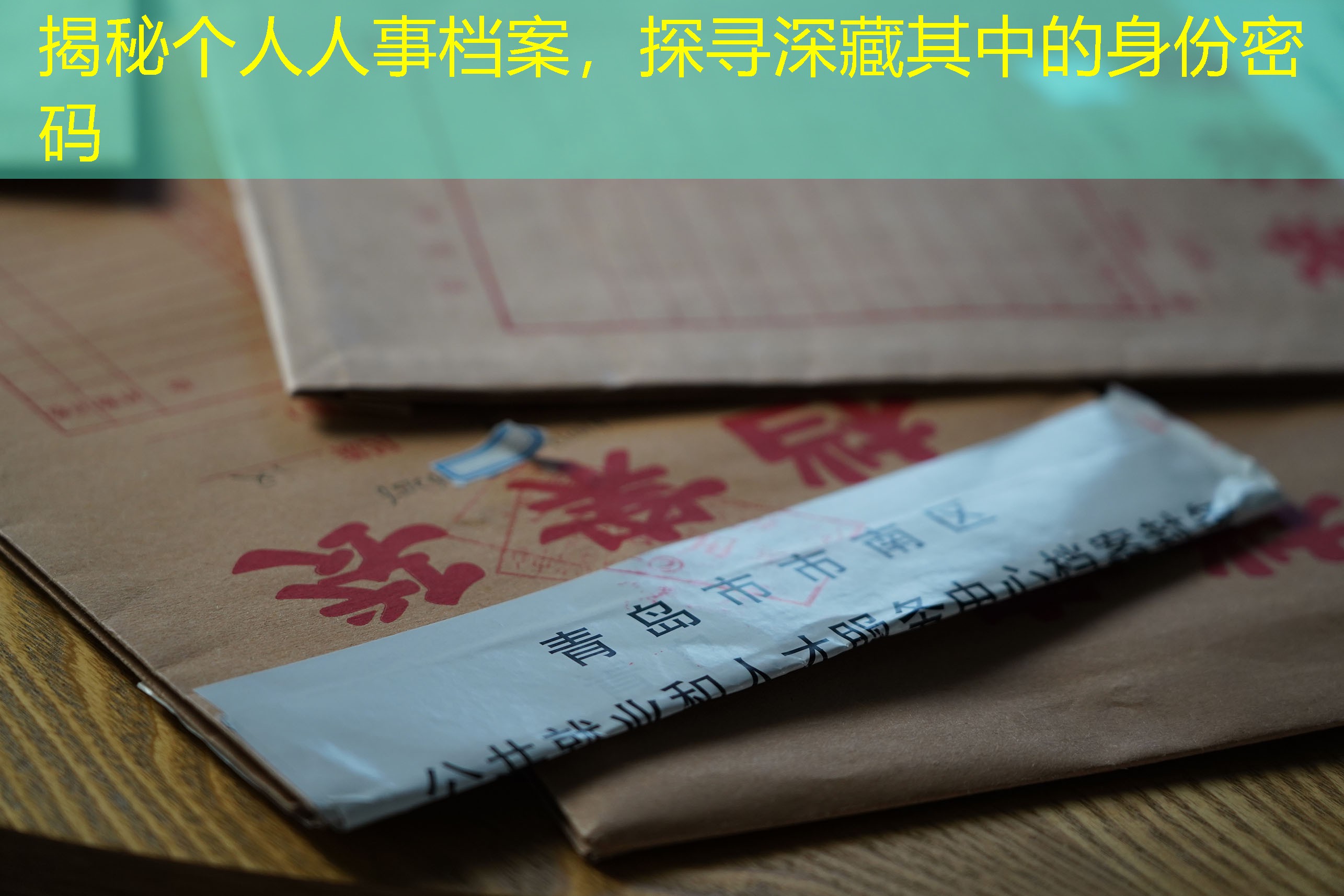 档案查询