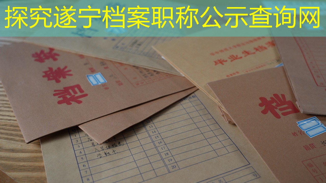 档案查询