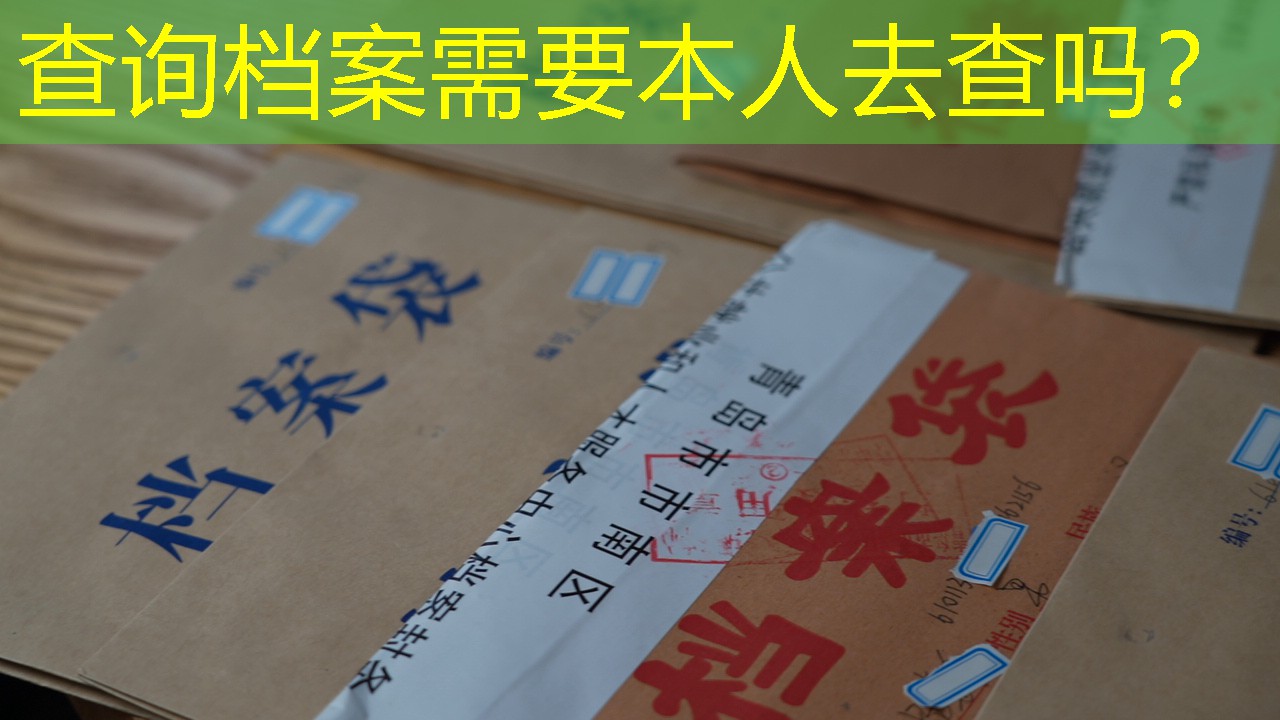 档案查询