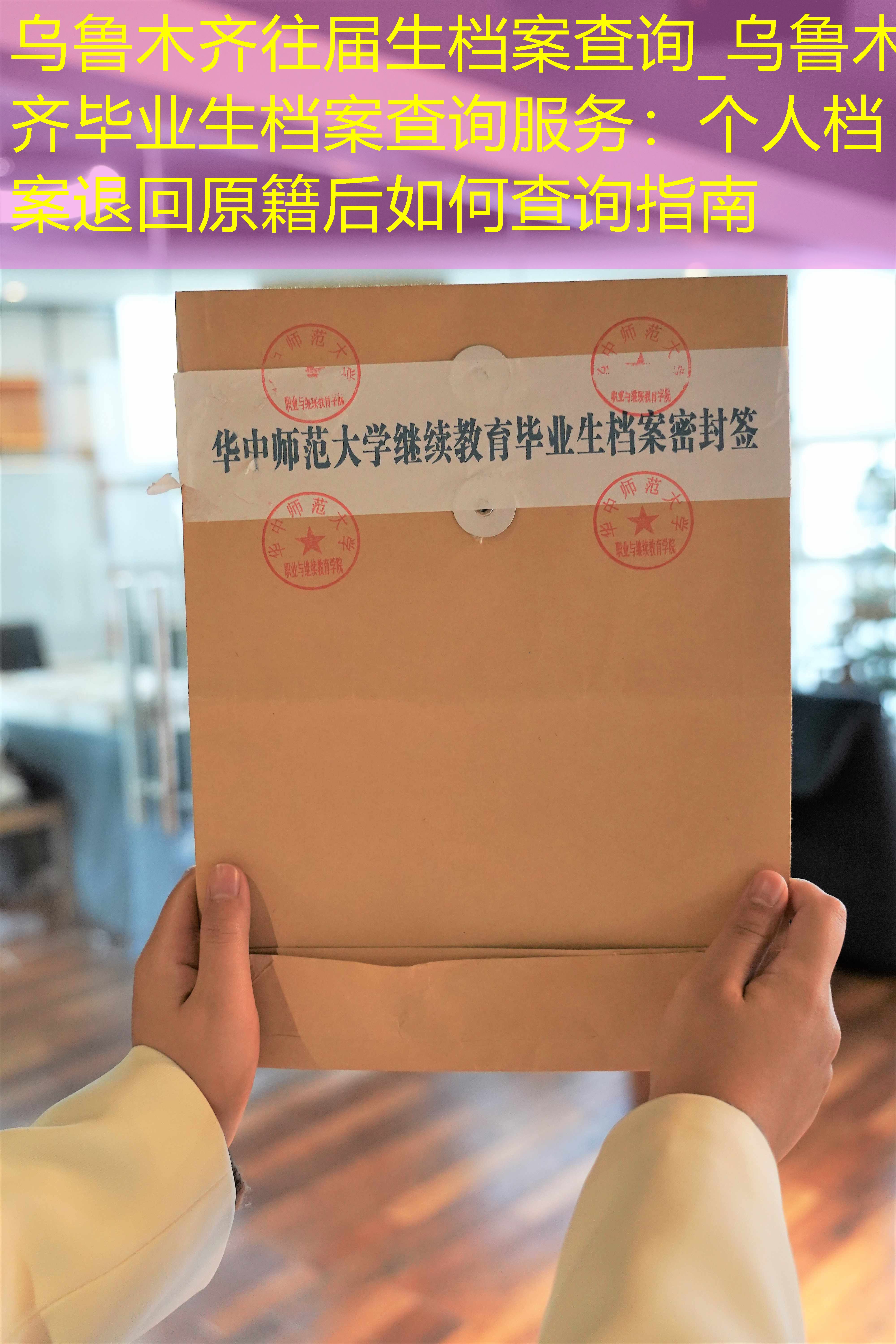 档案查询