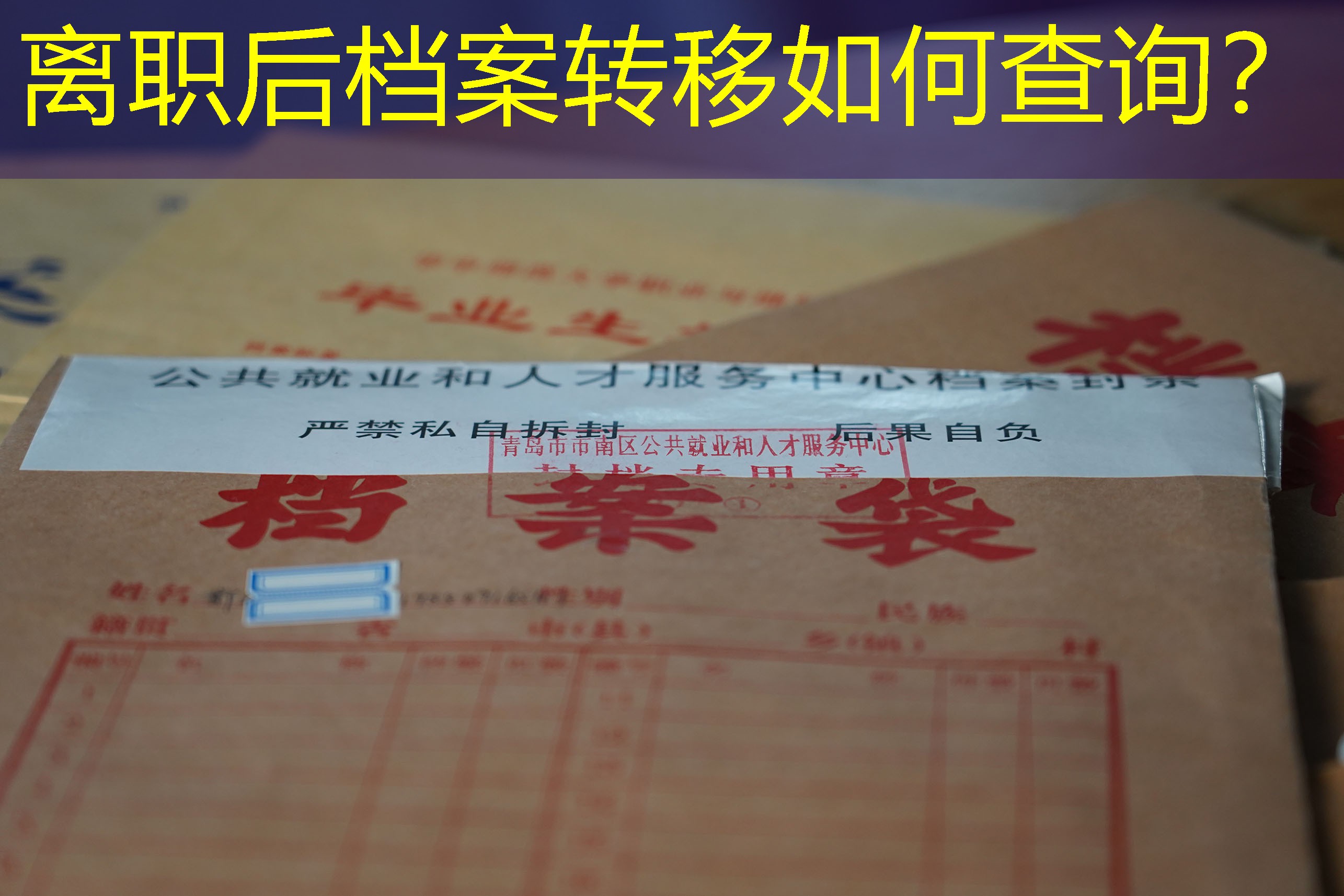 档案查询