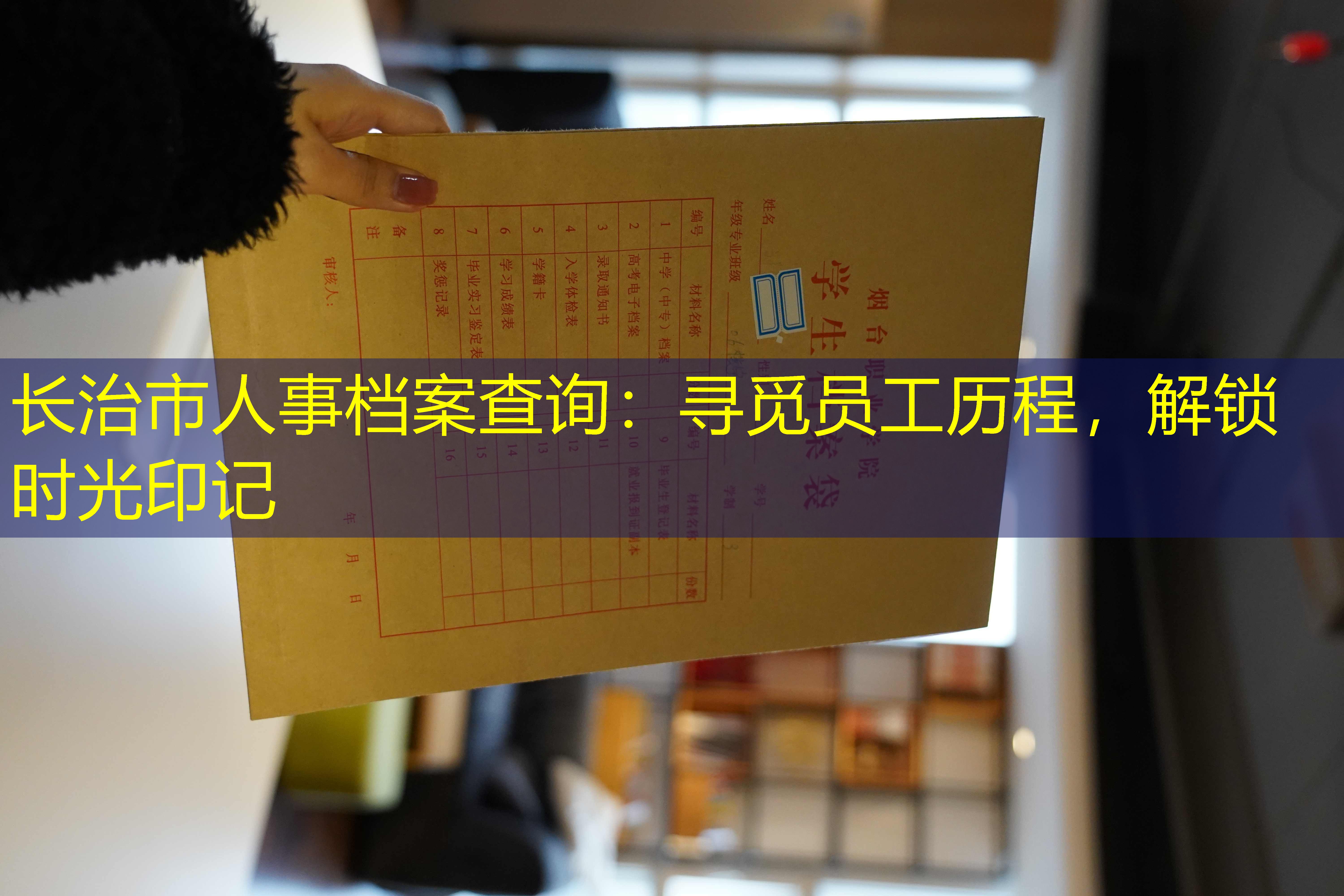 档案查询