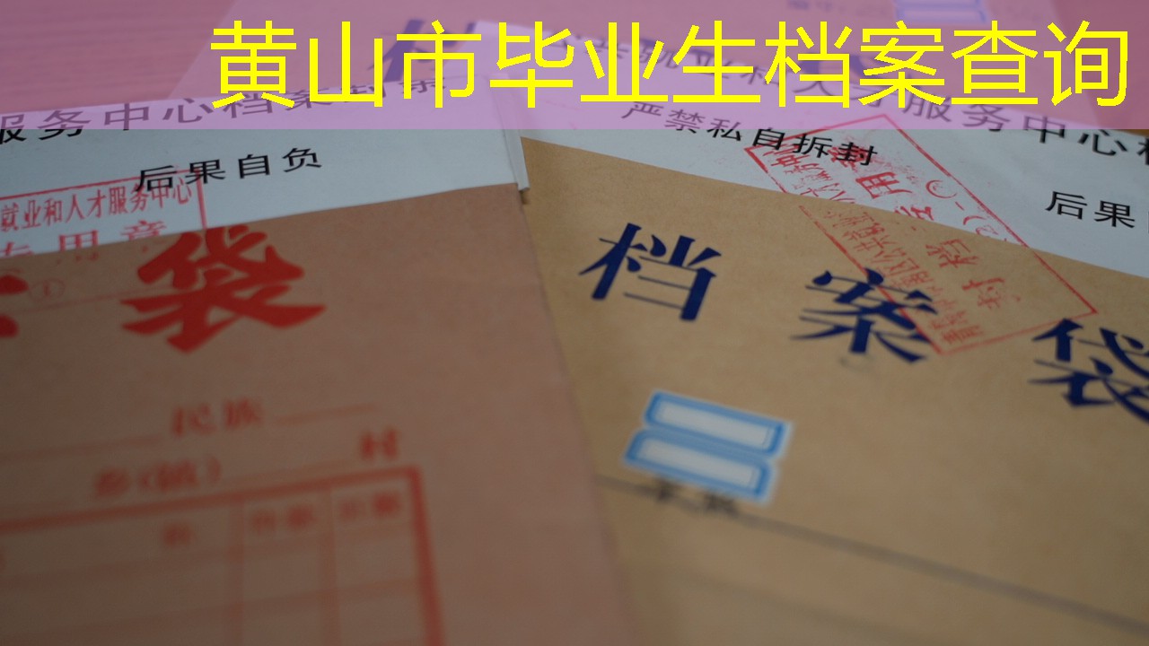 档案查询