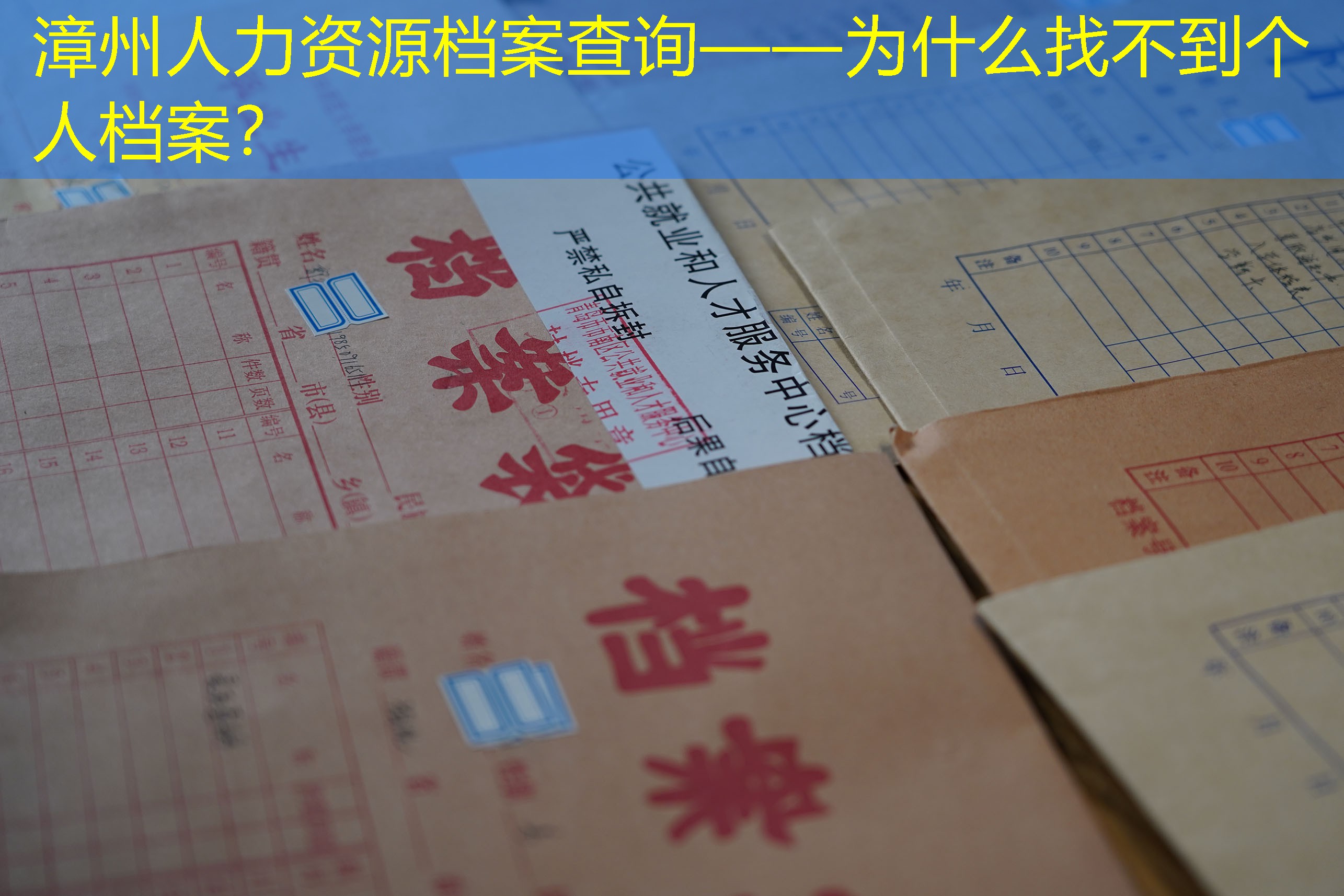 档案查询