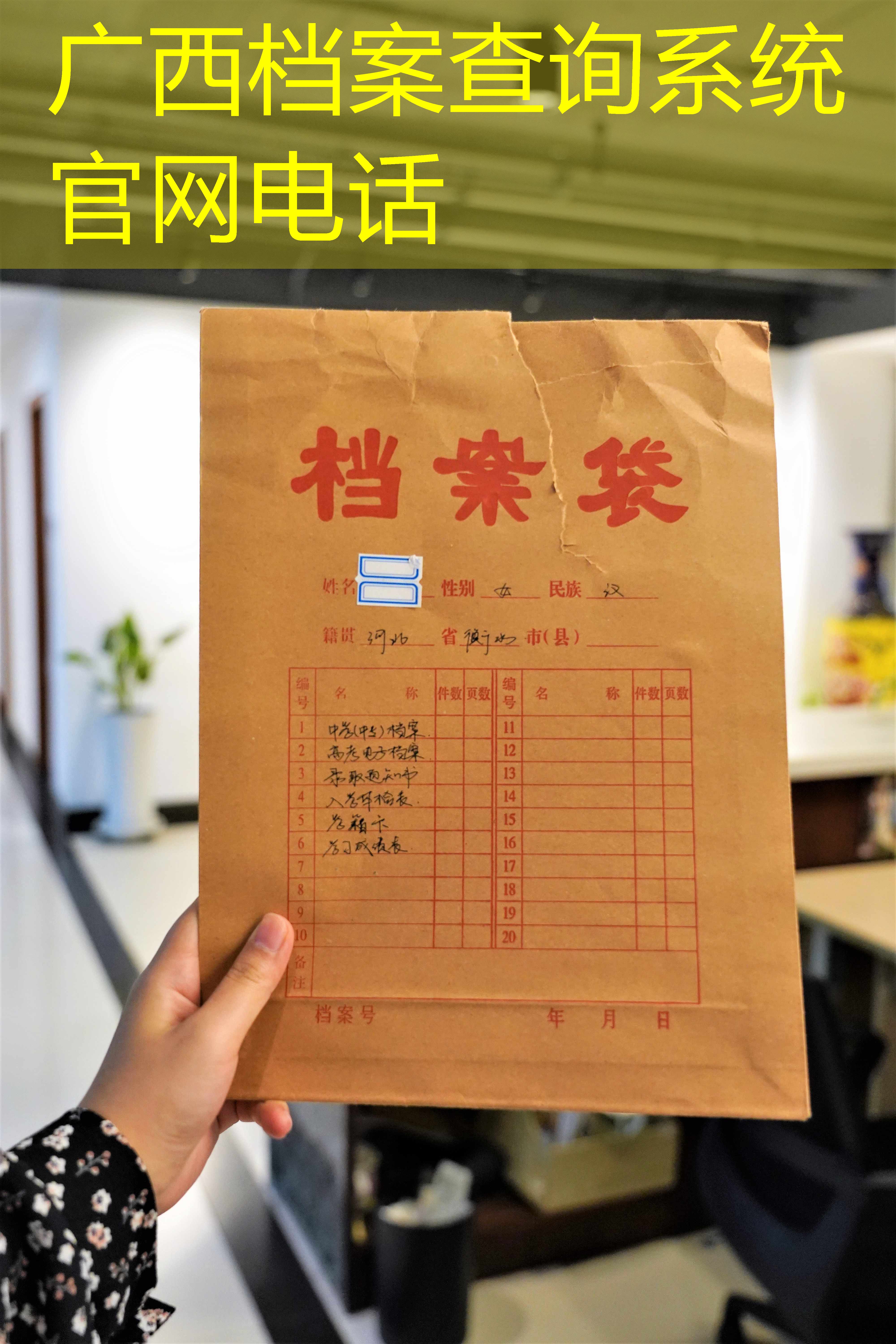 档案查询