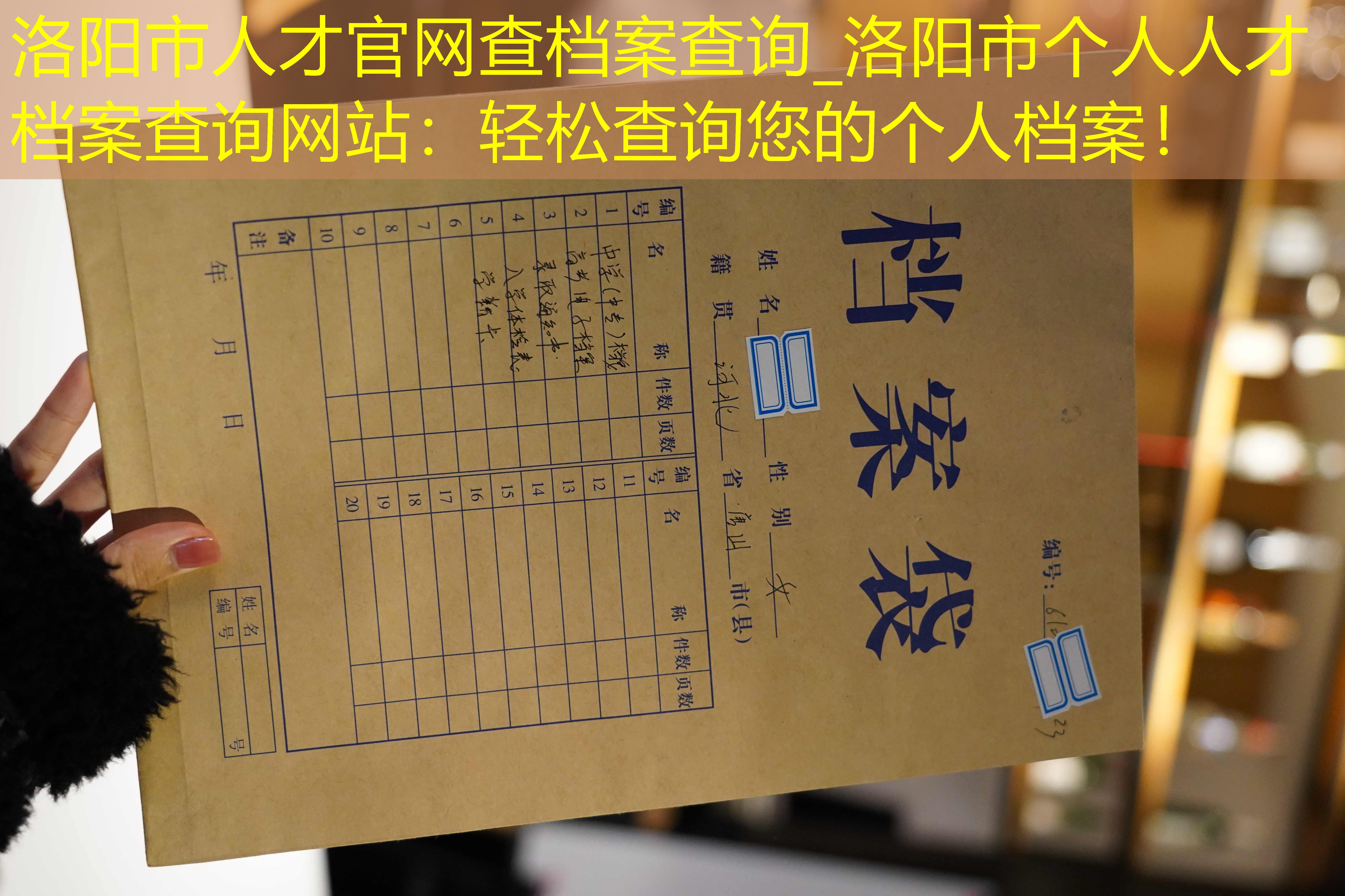 档案查询