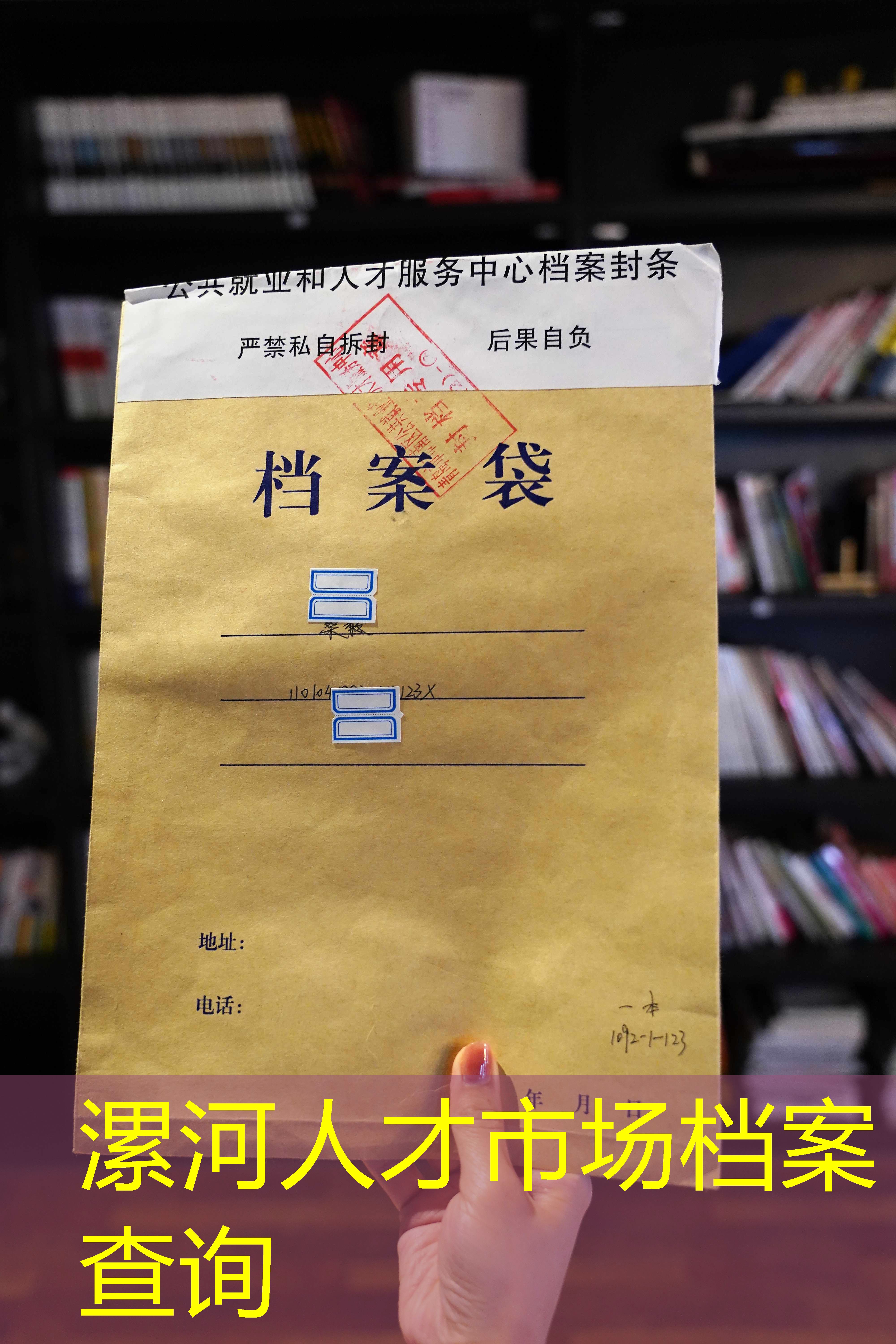 档案查询