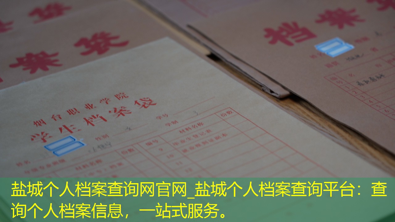 档案查询