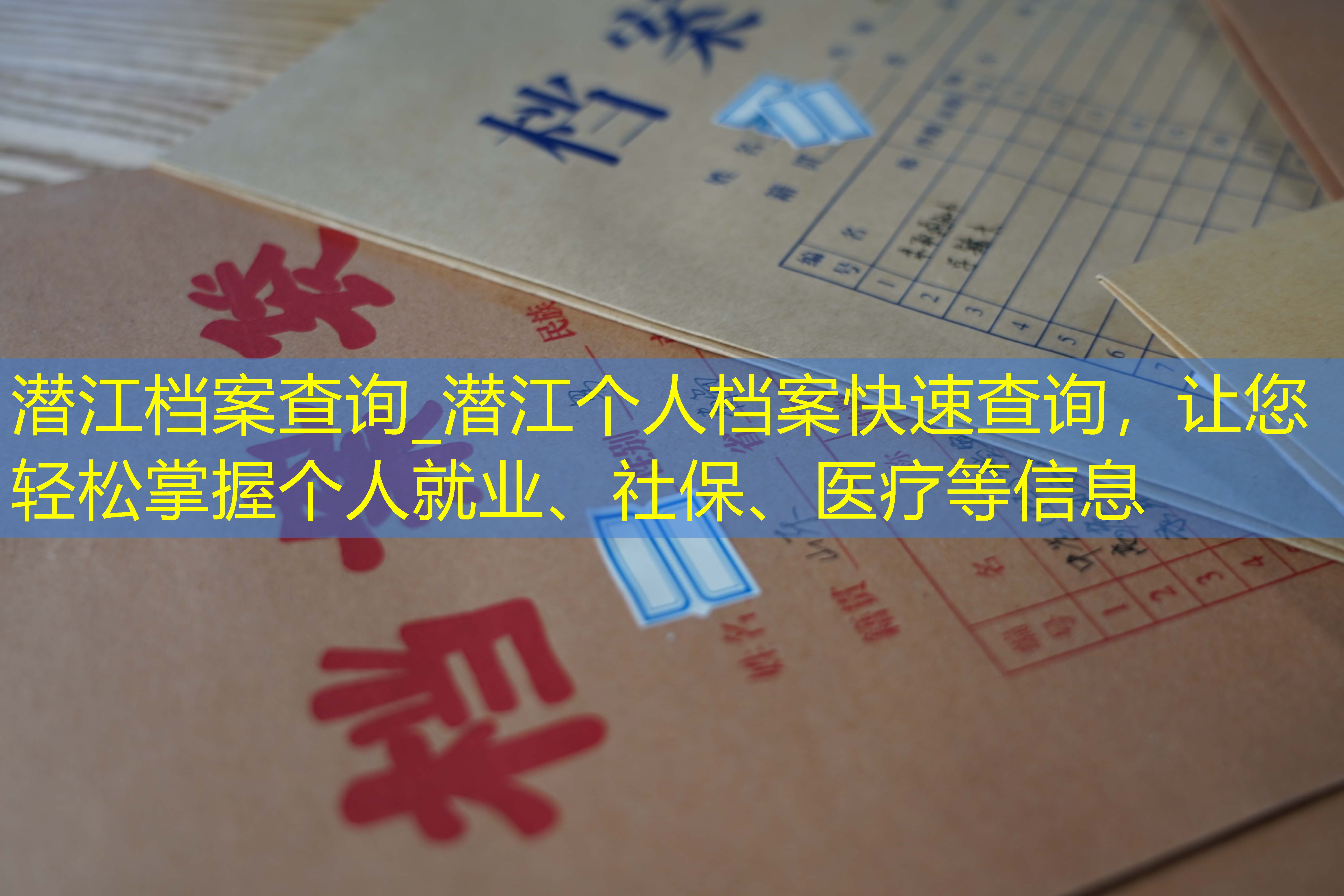 档案查询